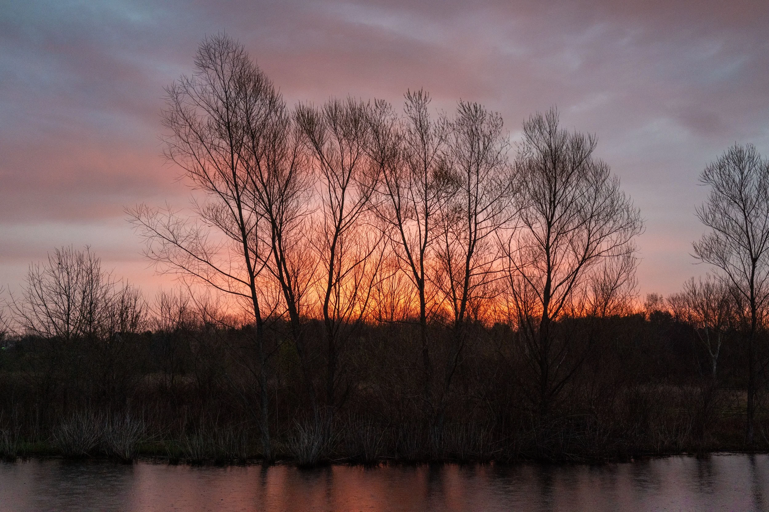Beckley Sunrise-28.jpg