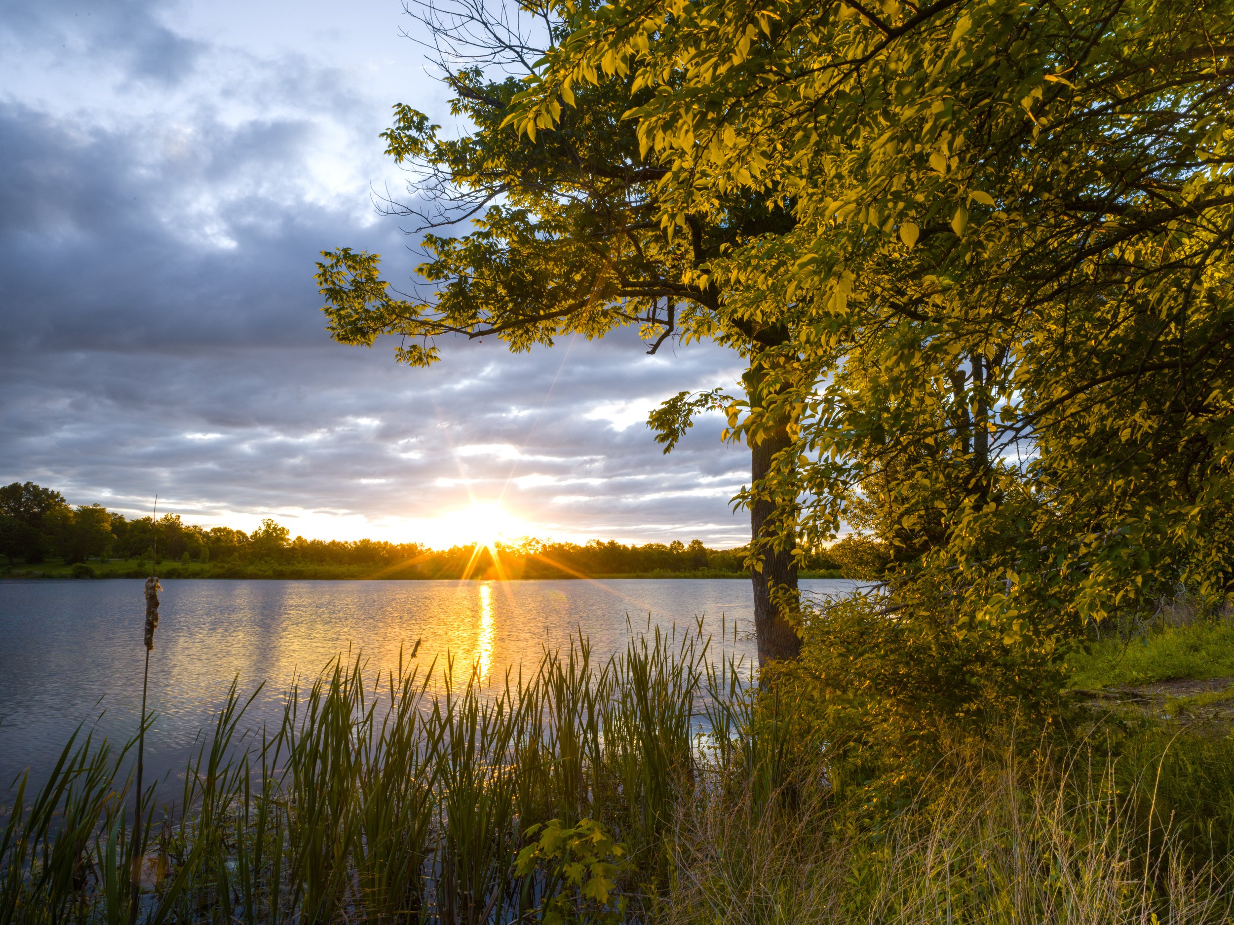 Long Run Dead Tree Point-74-Edit.jpg
