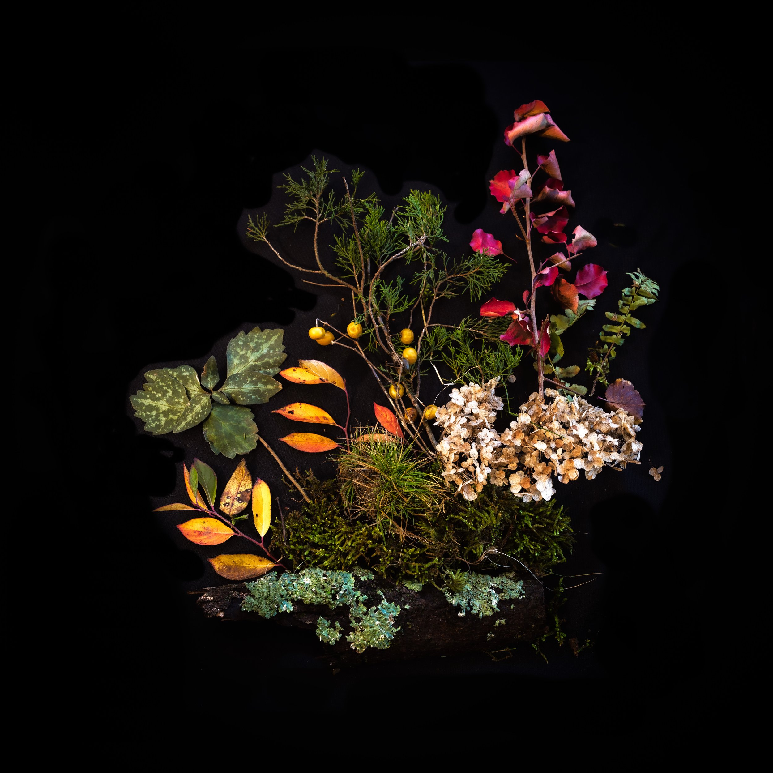 untitled-6-2-Edit.jpg