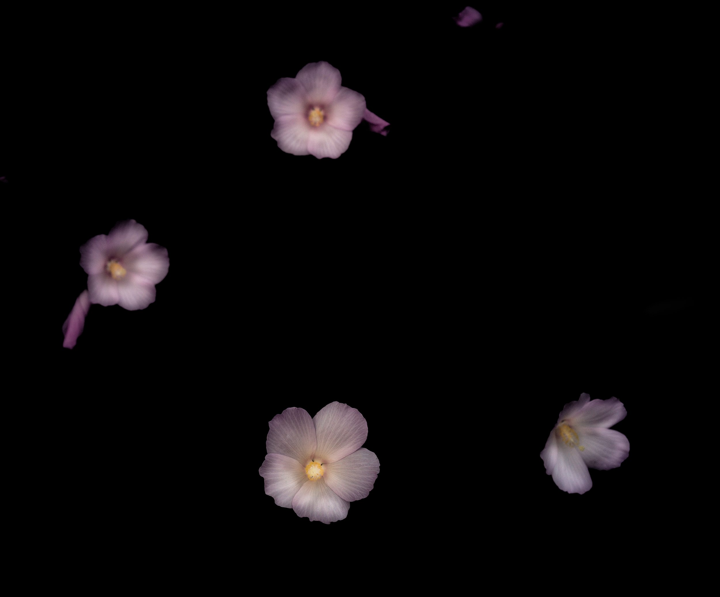 untitled-9-Edit.jpg