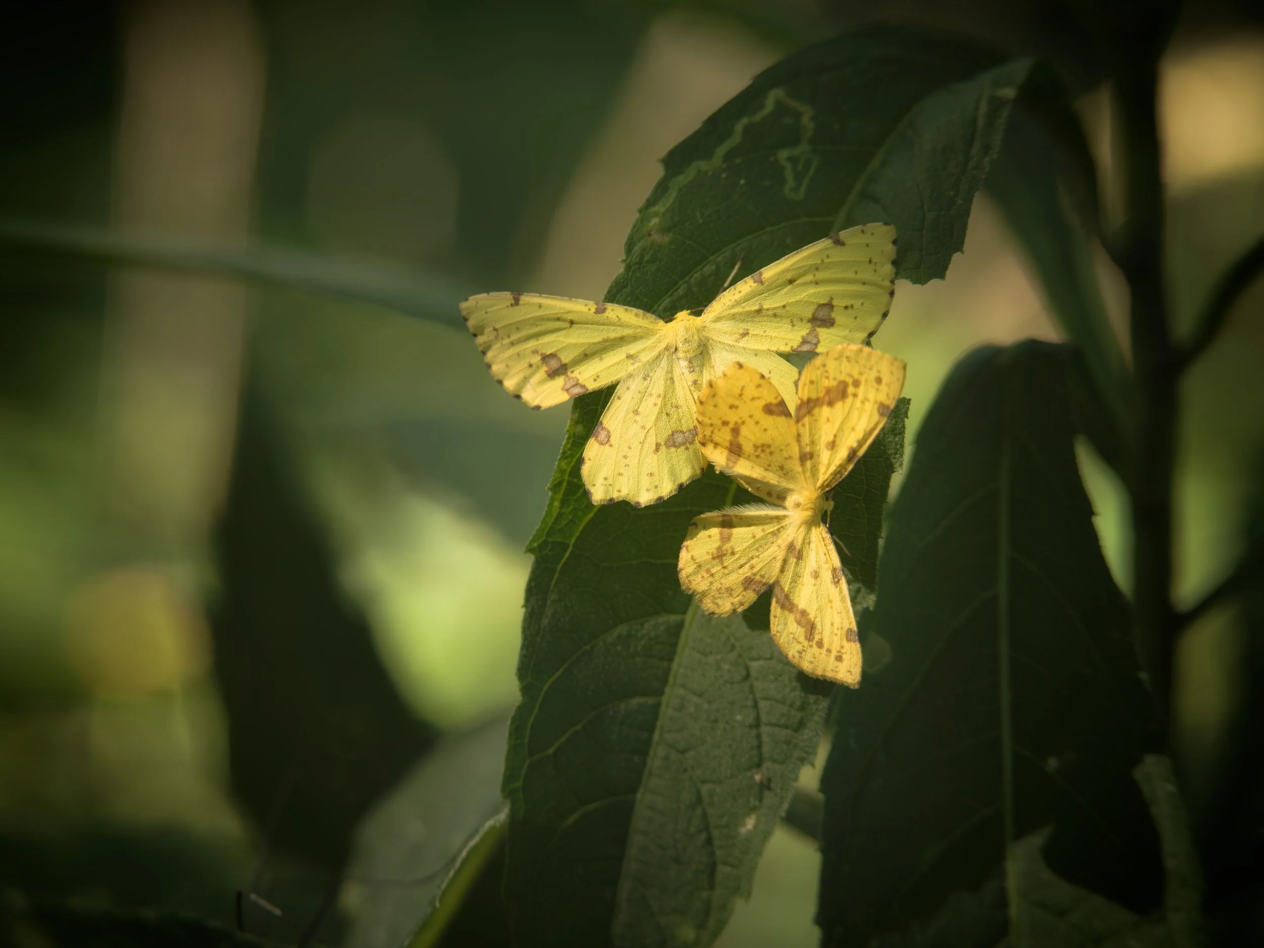 untitled-88-2-Edit.jpg