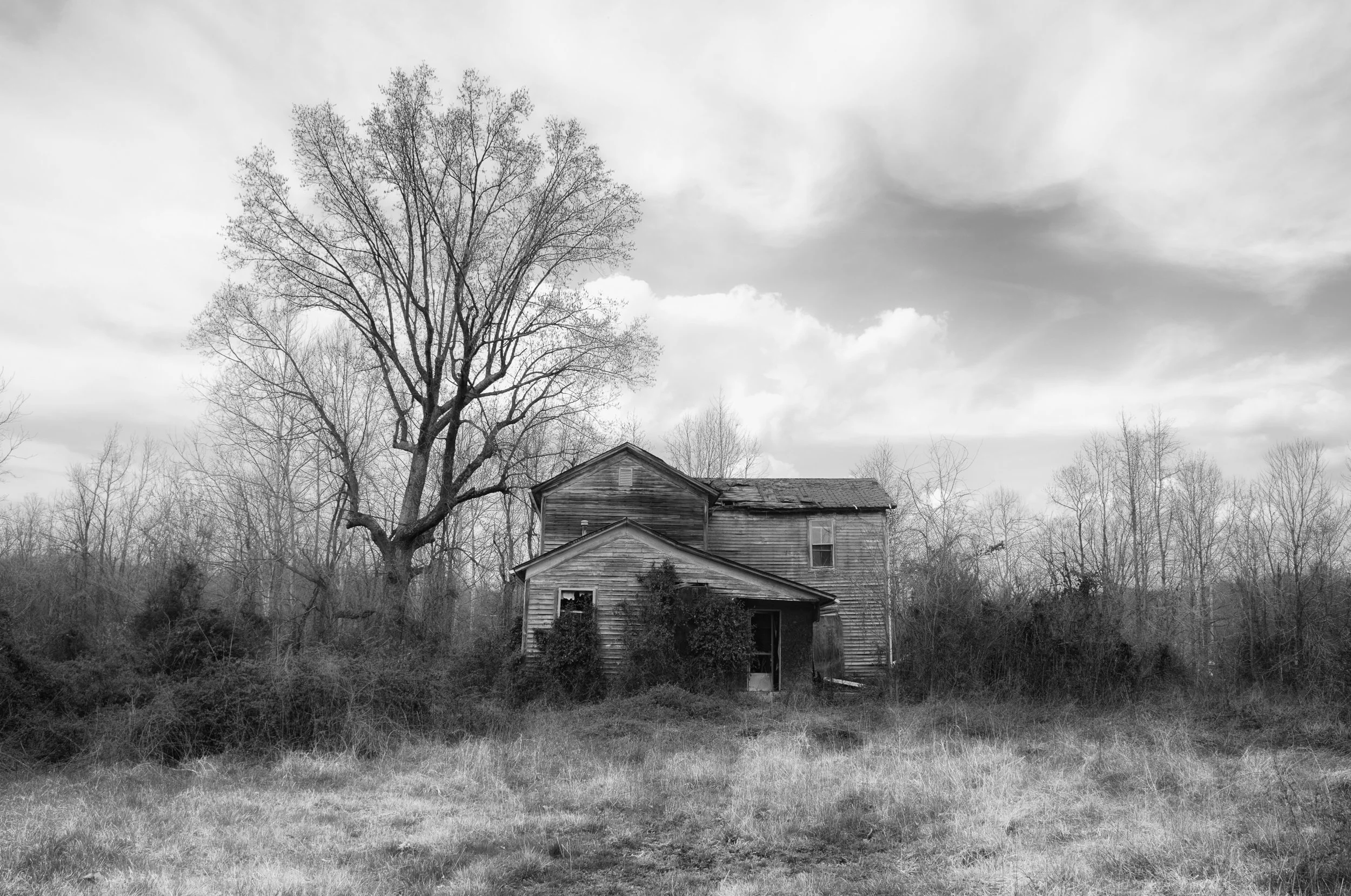 20120318-untitled-0516-Edit.jpg