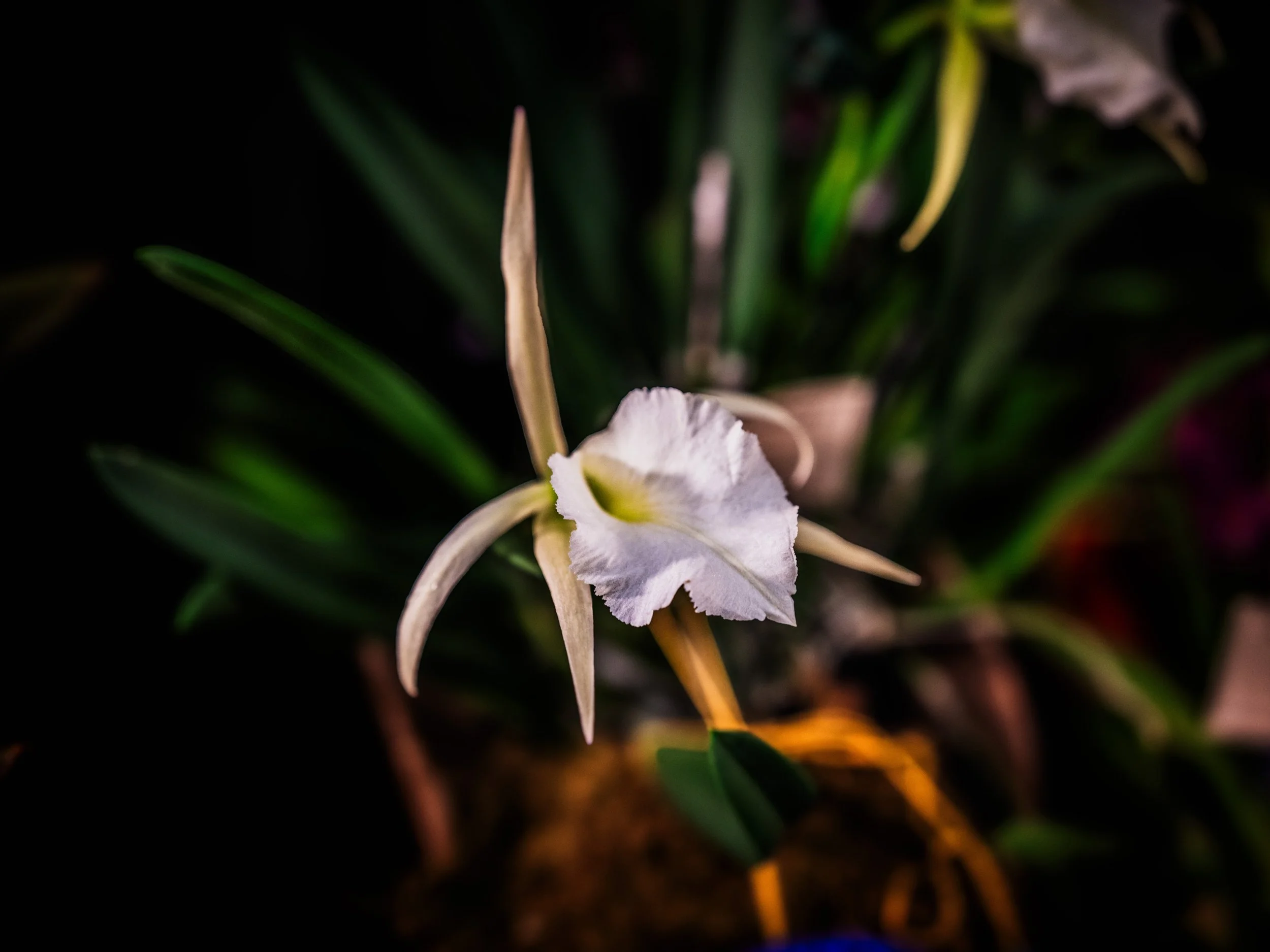 untitled (146 of 163)-Edit.jpg
