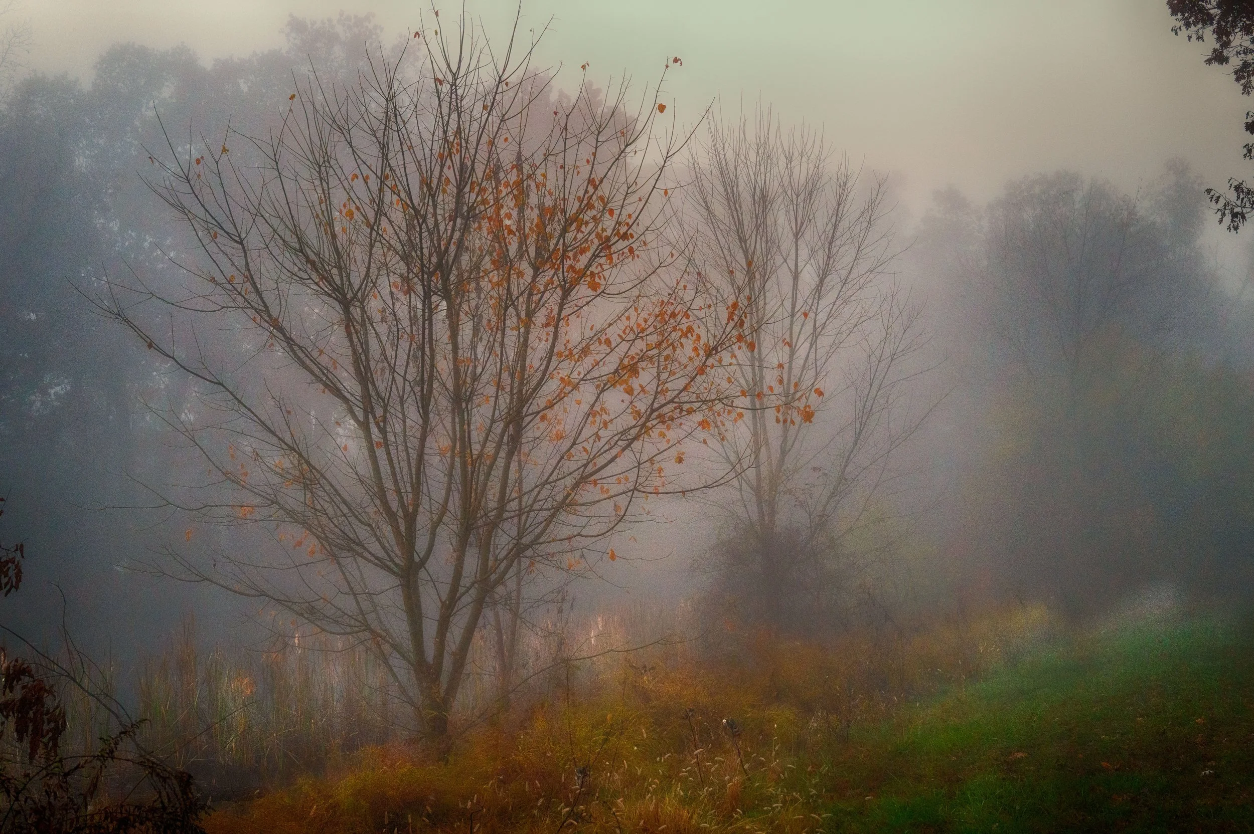 untitled (81 of 202)-Edit.jpg