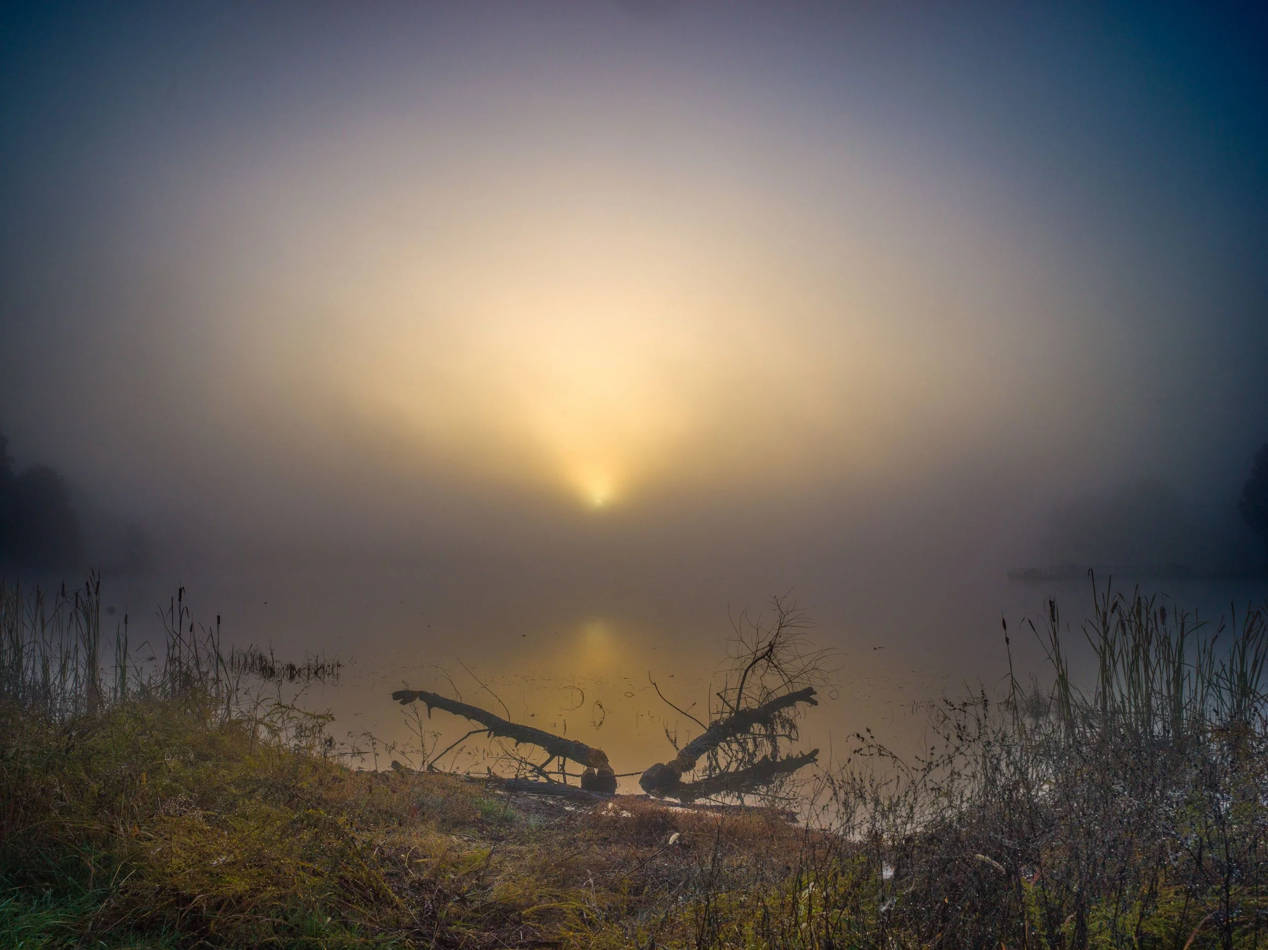 untitled (63 of 101).jpg
