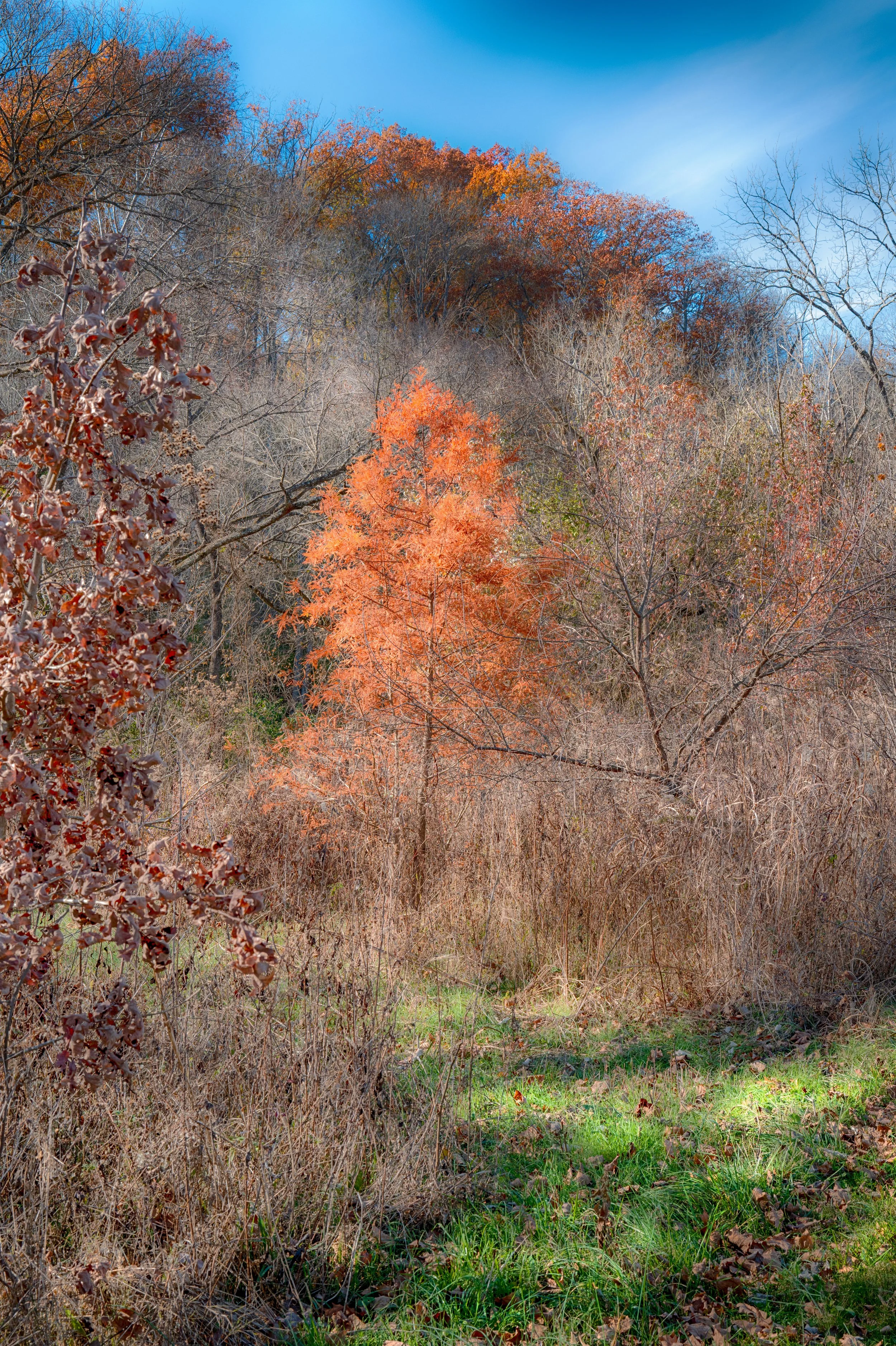 untitled (33 of 60)-Edit.jpg