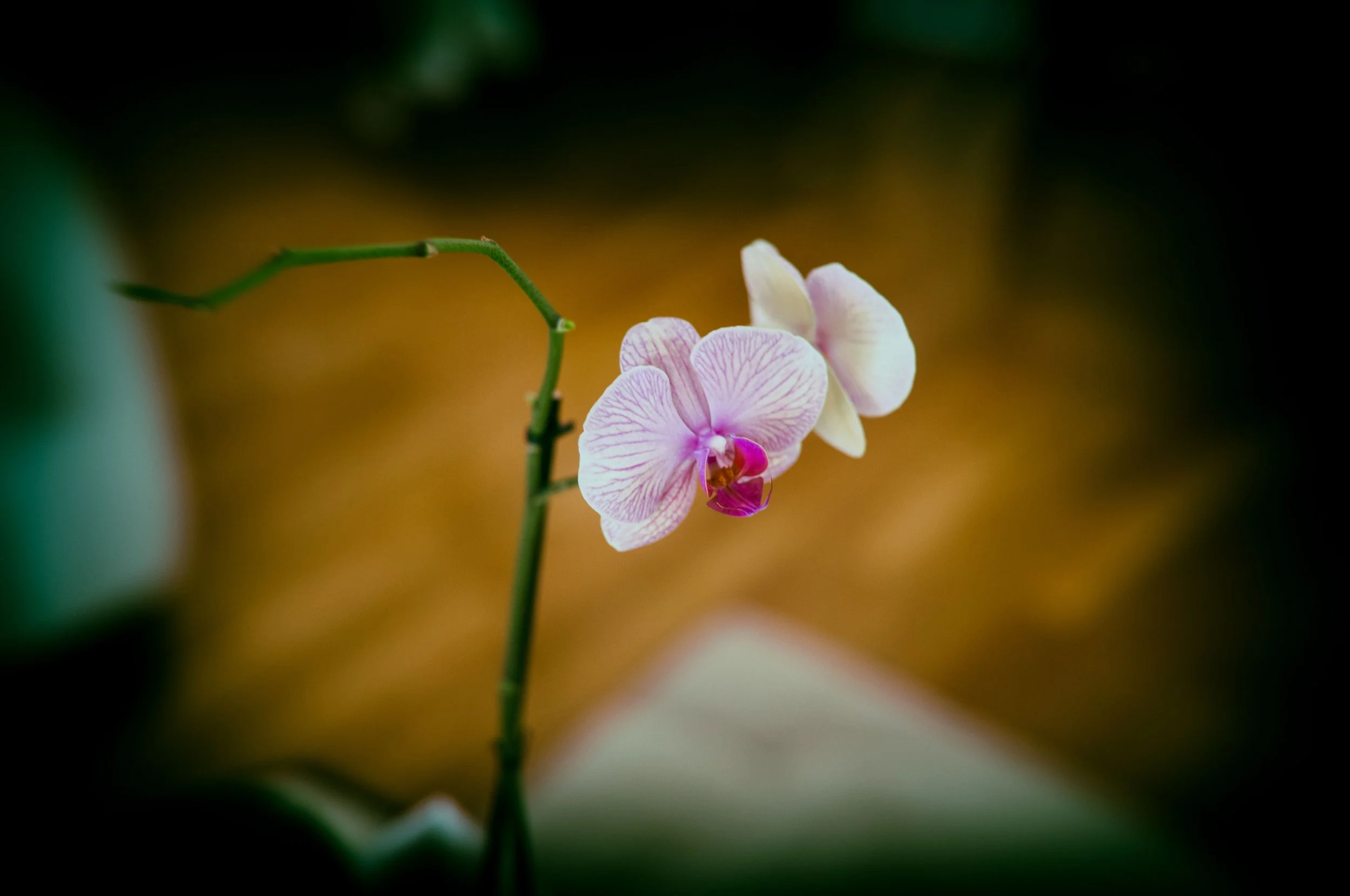 untitled-1001453-Edit.jpg