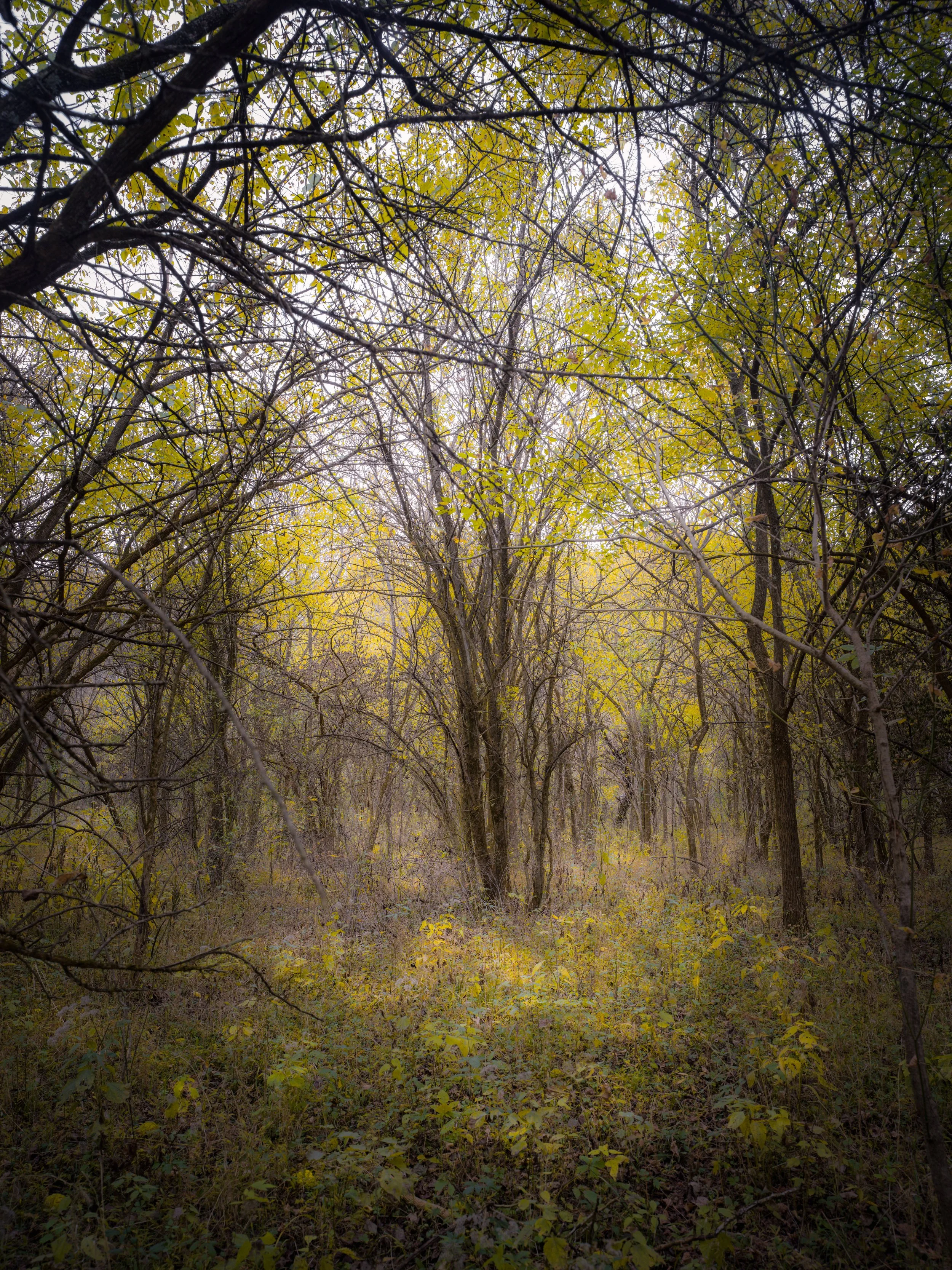 Parklands New Trail 25-11.jpg