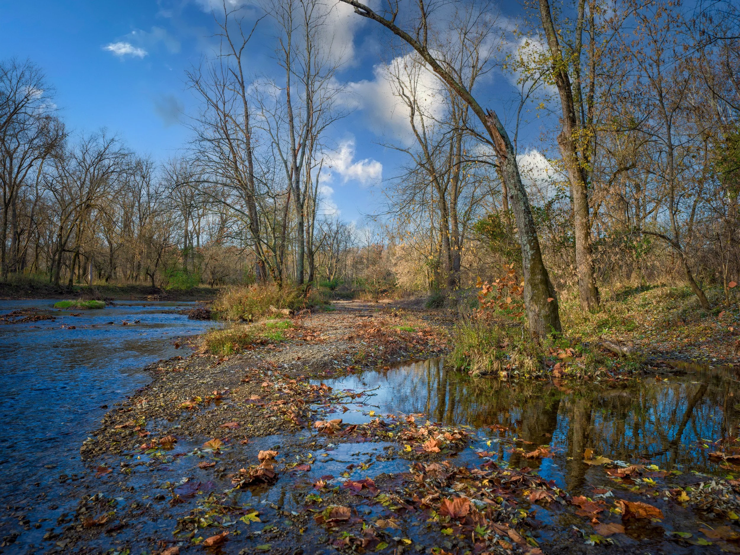 Fall in the Parklands014November 17, 2021-Edit.jpg