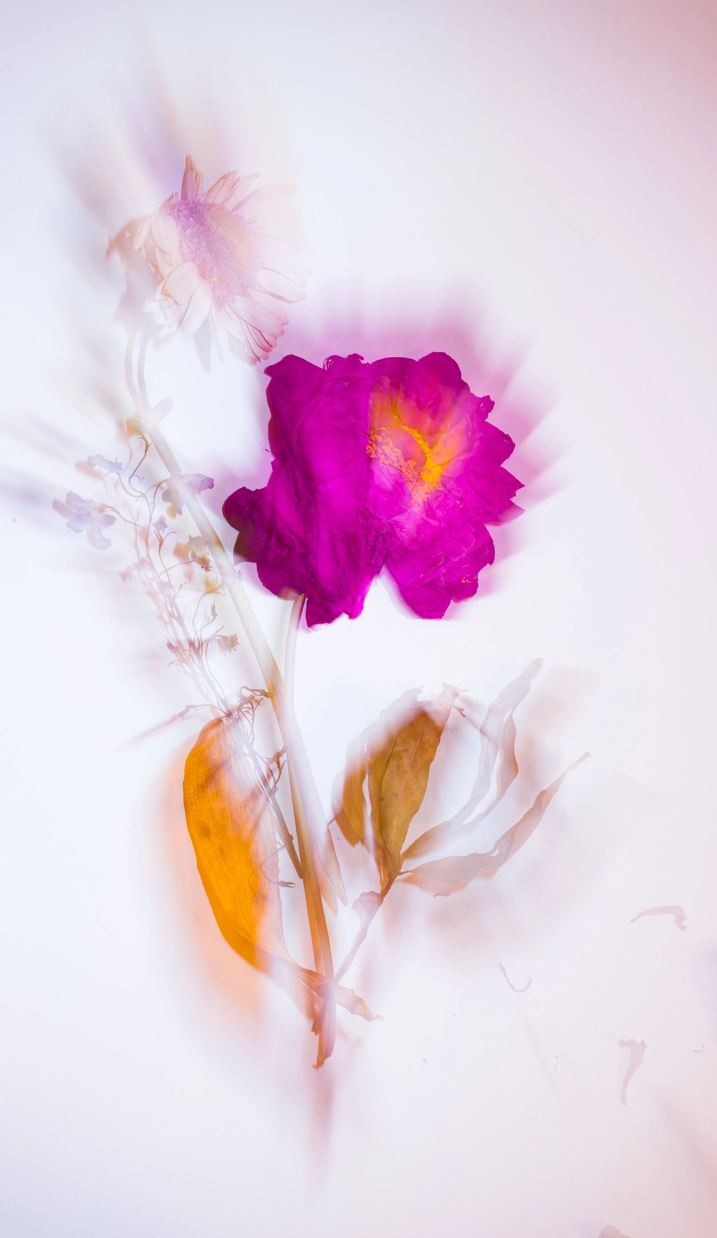 untitled-0023251-Edit.jpg