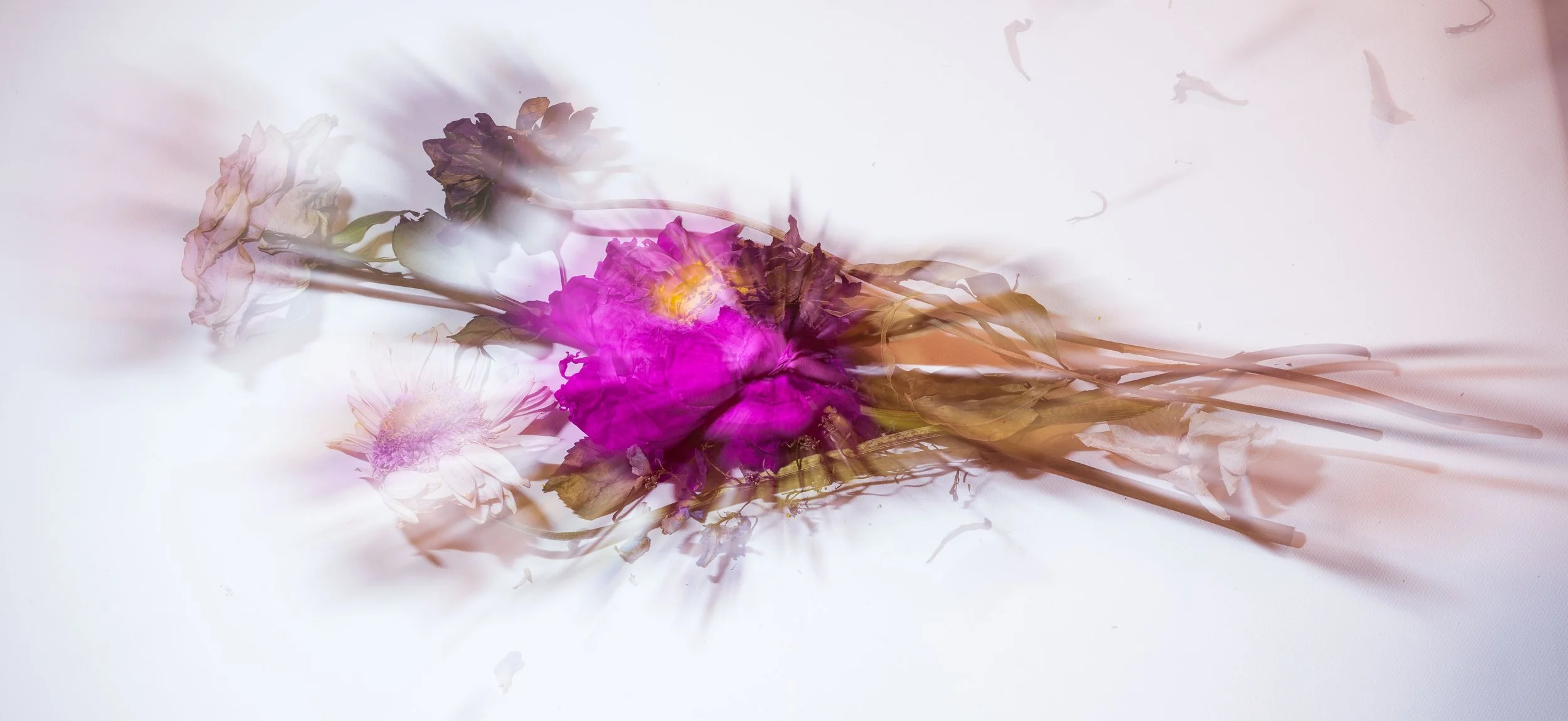 untitled-0023254-Edit.jpg