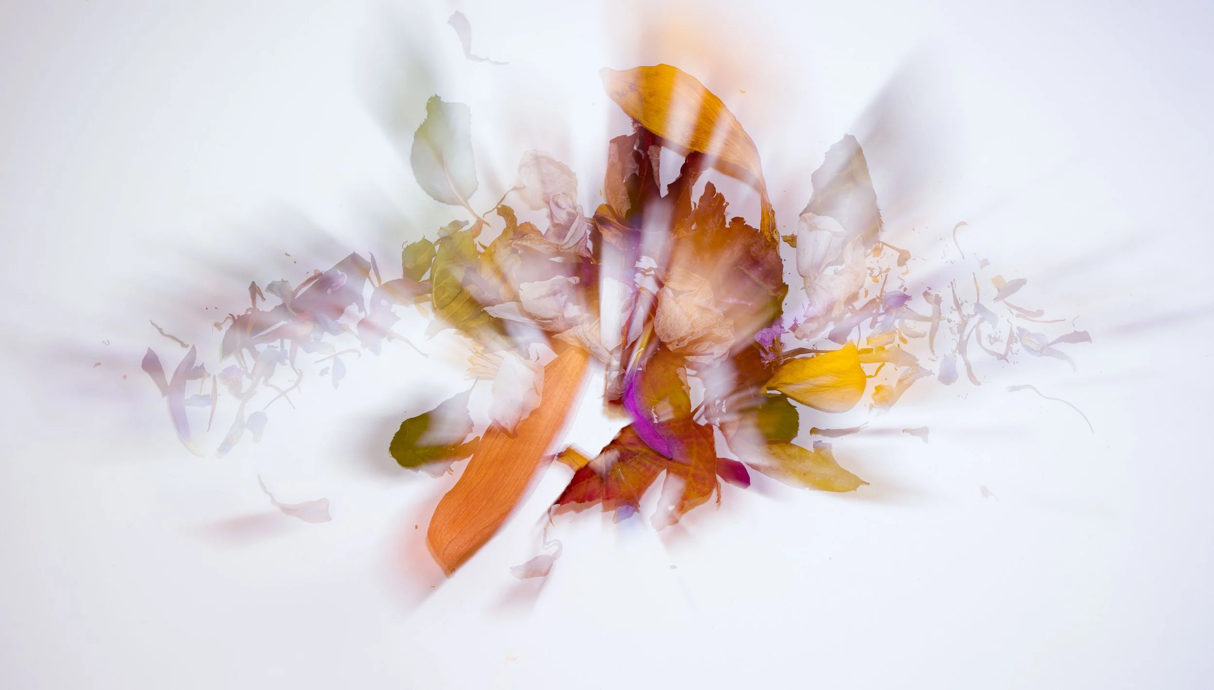 untitled-0023277-Edit.jpg