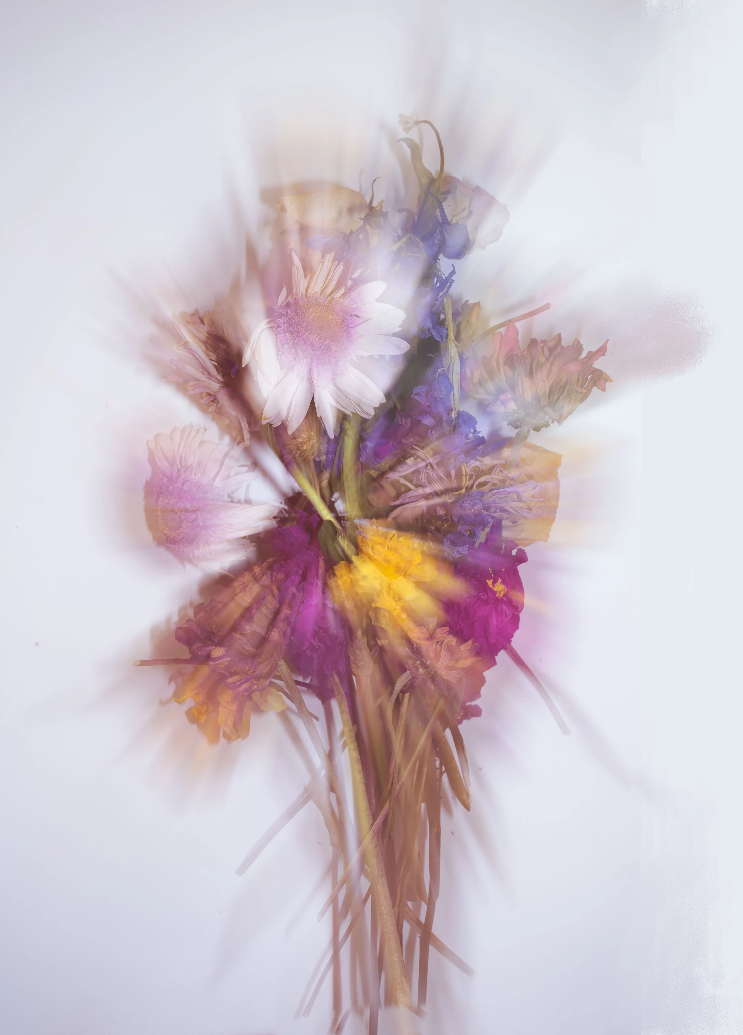 untitled-0023270-Edit.jpg