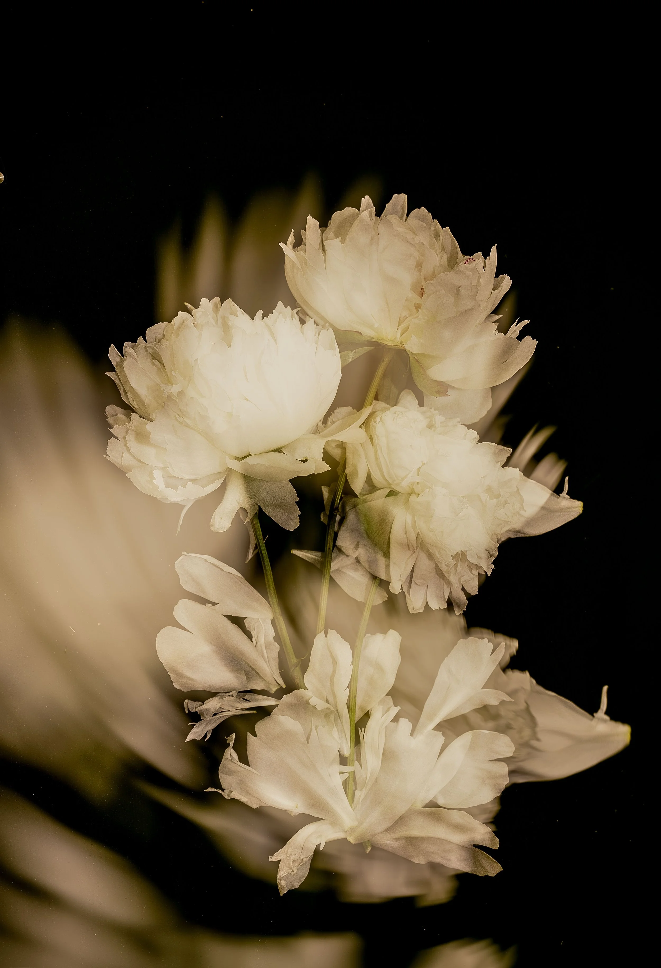untitled-0023285-Edit.jpg