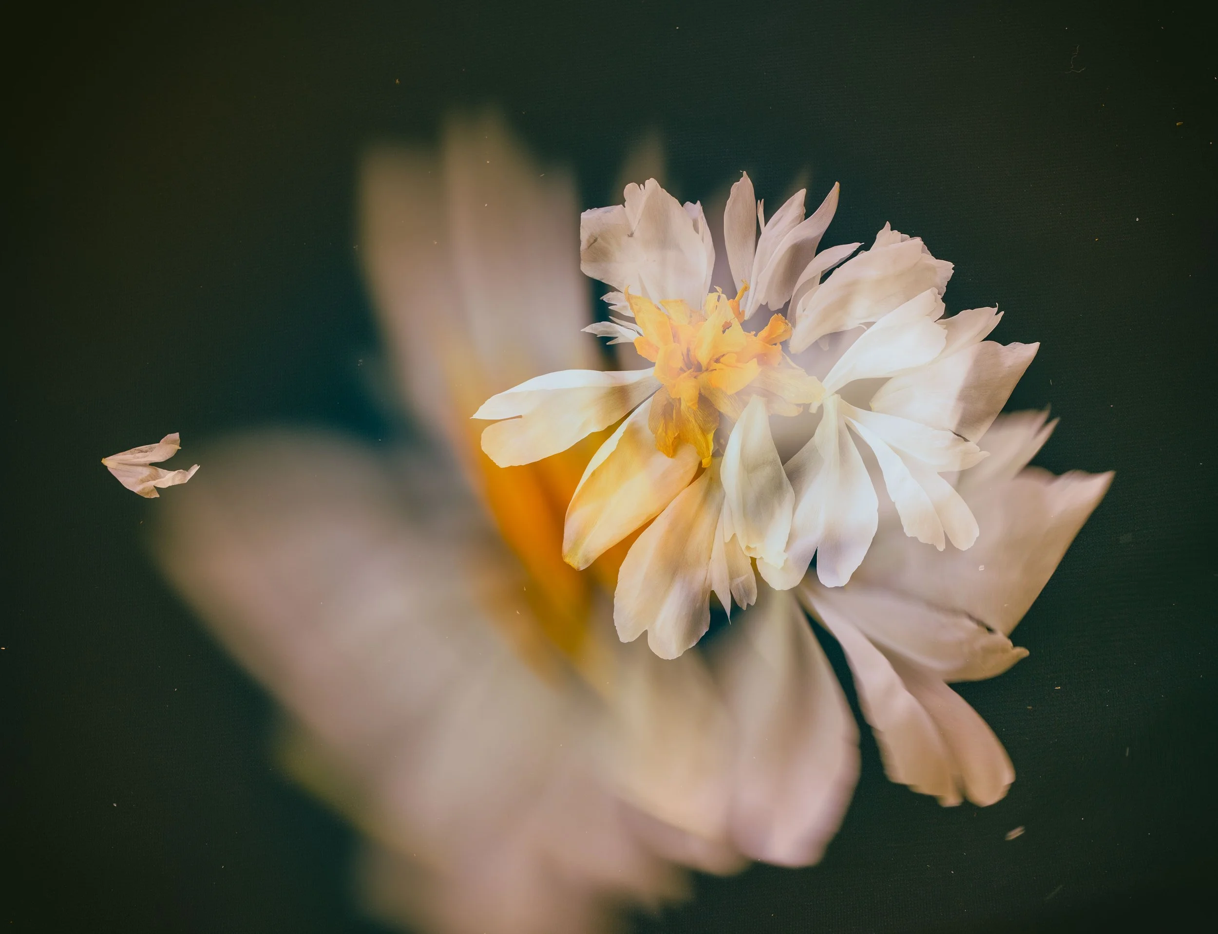 untitled-0023293-Edit.jpg