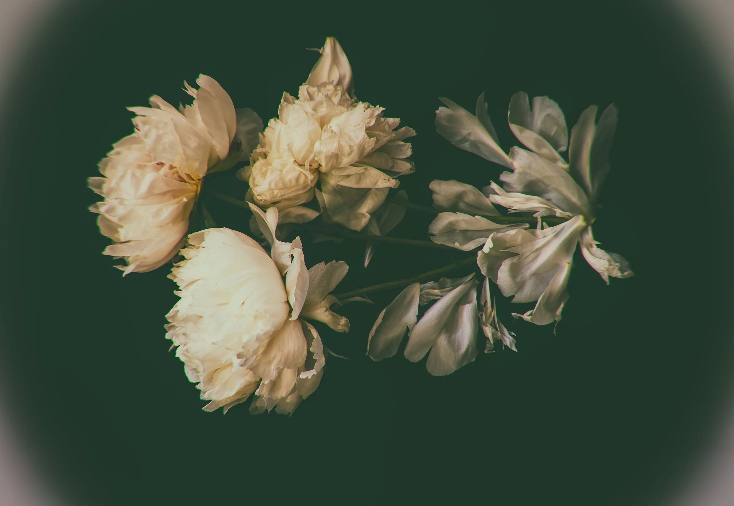 untitled-0023287-Edit.jpg