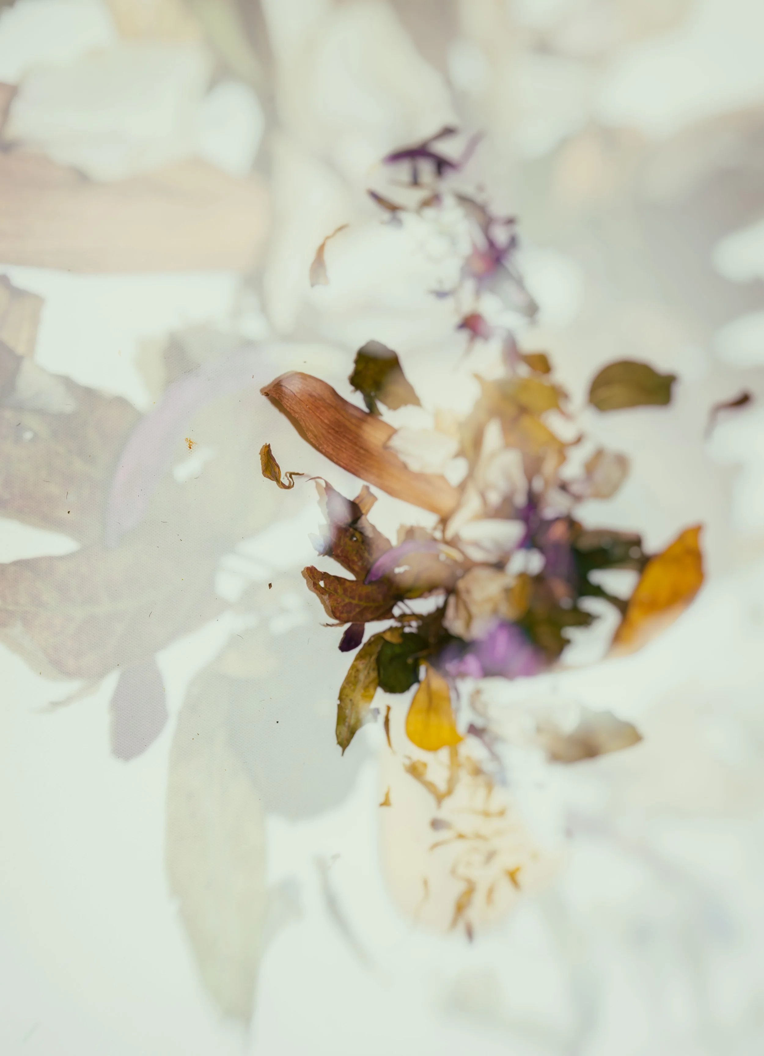 Vintage Flowers.jpg