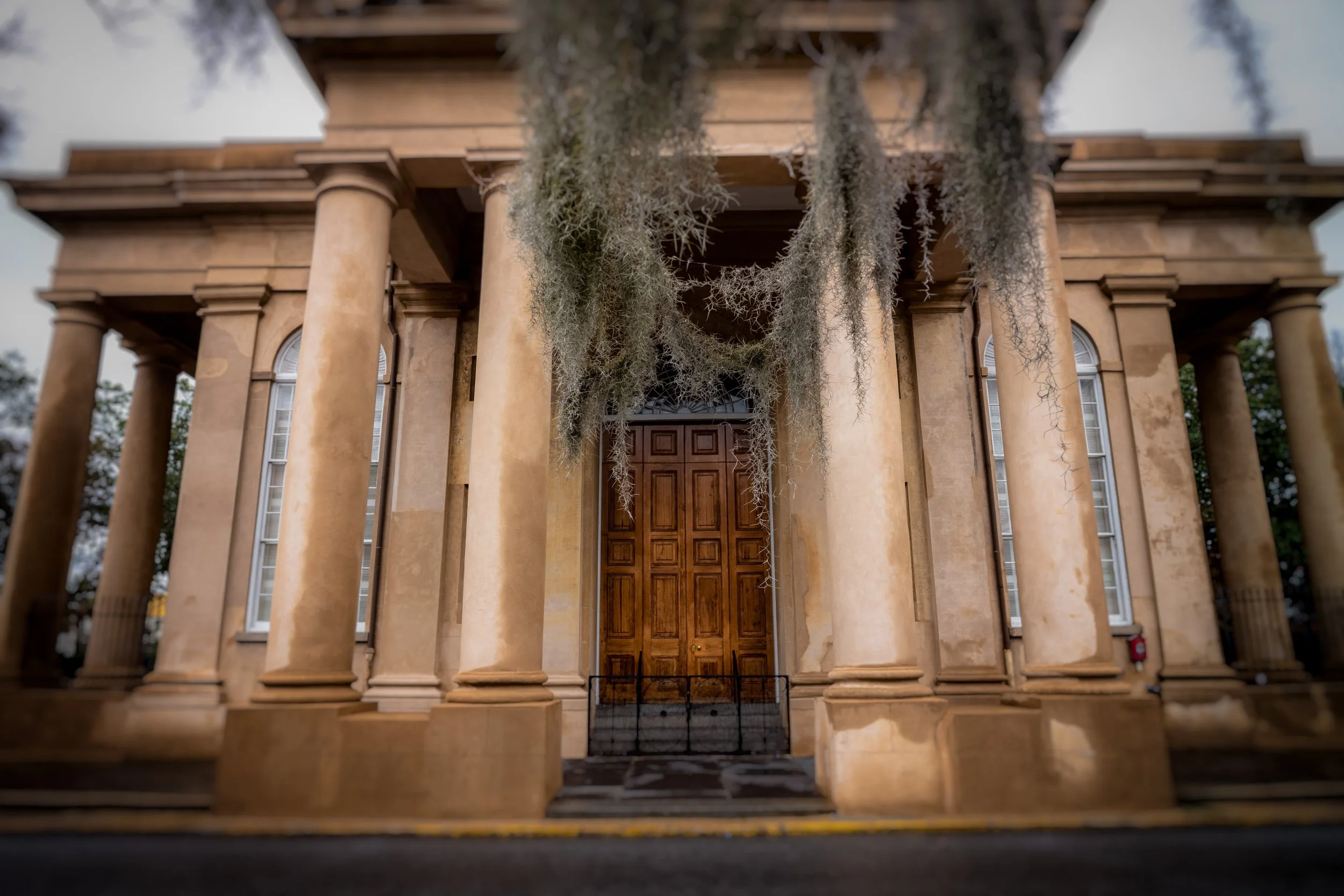 Charleston009January 04, 2020-Edit.jpg
