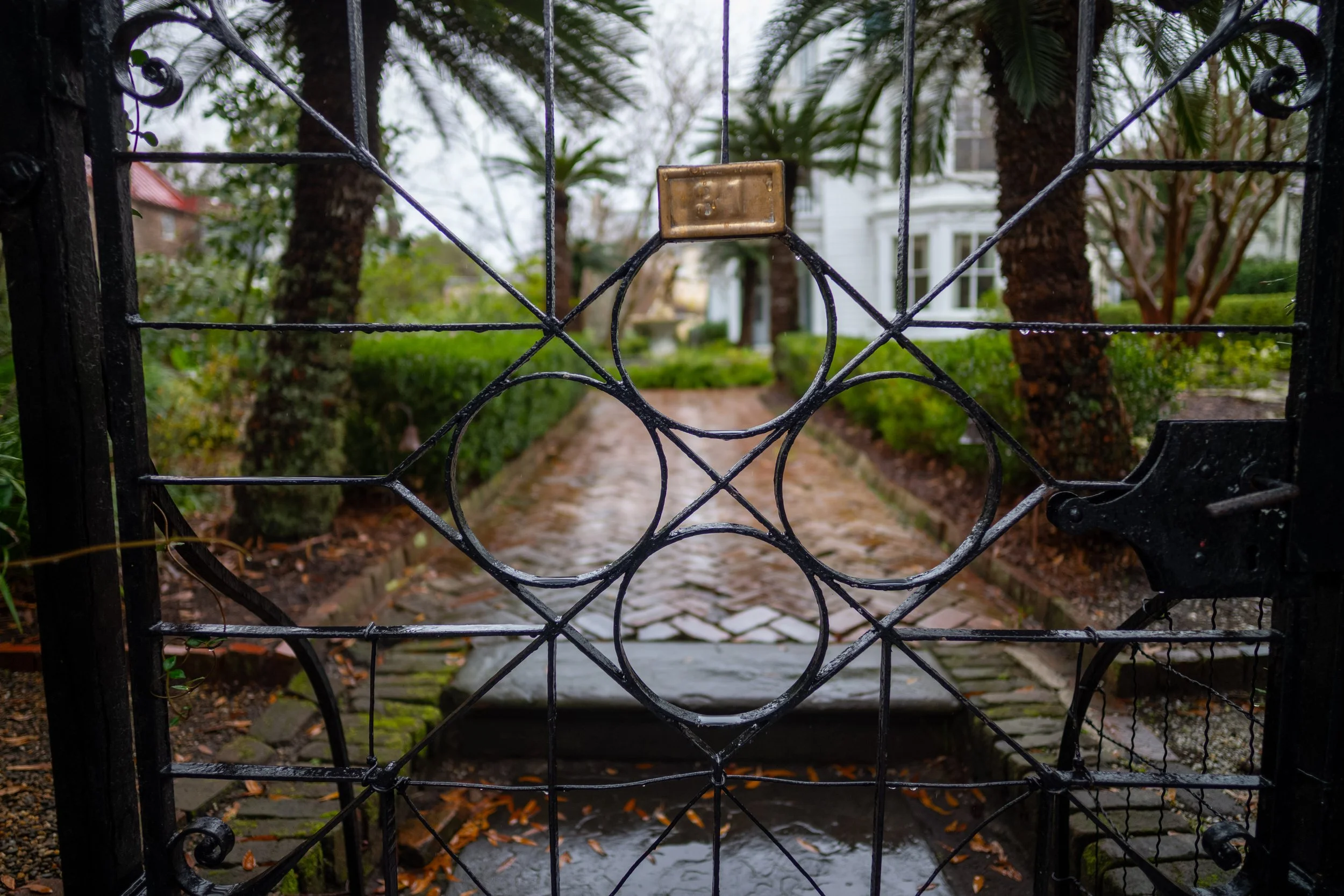 Charleston052January 04, 2020.jpg