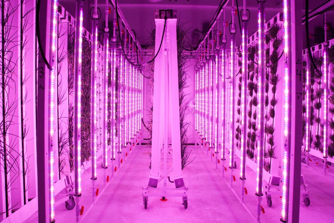 ZipFarm.jpeg
