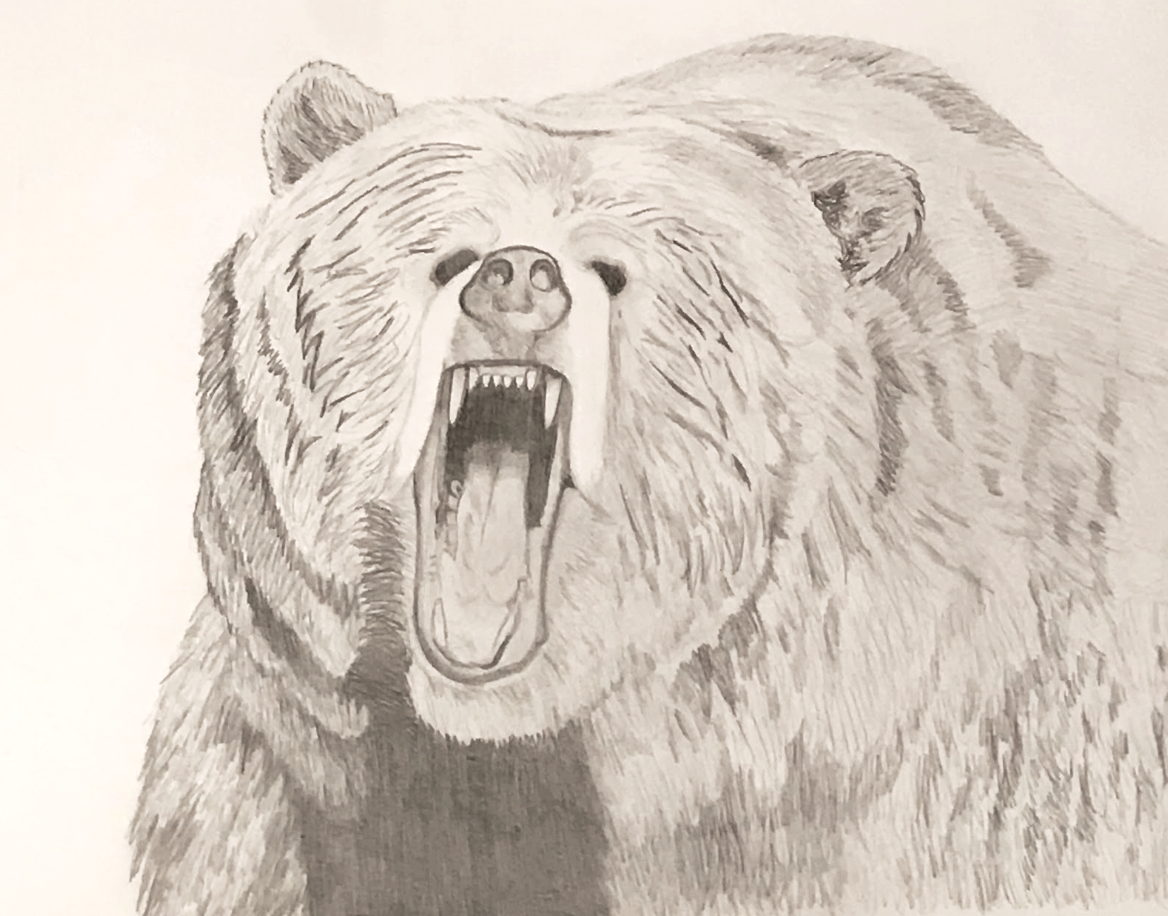 Screen Shot 2018-12-22 at 1.14.43 AM copy.png