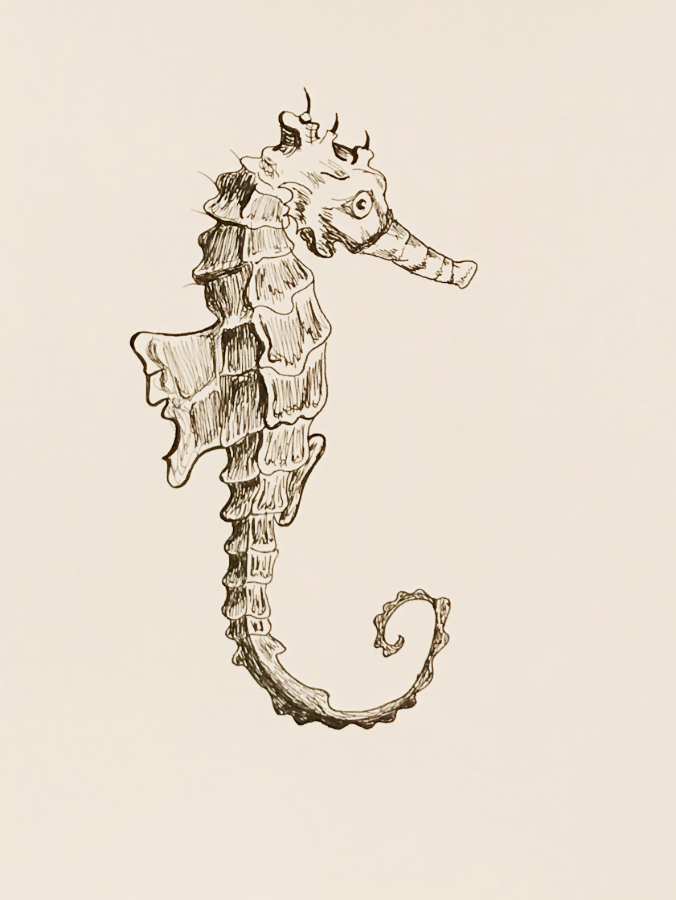 Screen Shot 2018-12-22 at 1.15.52 AM copy.png