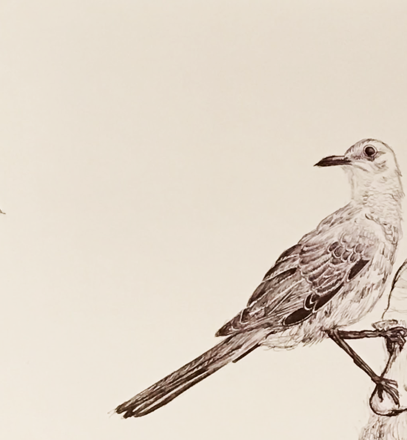 Screen Shot 2018-12-22 at 1.16.02 AM copy.png