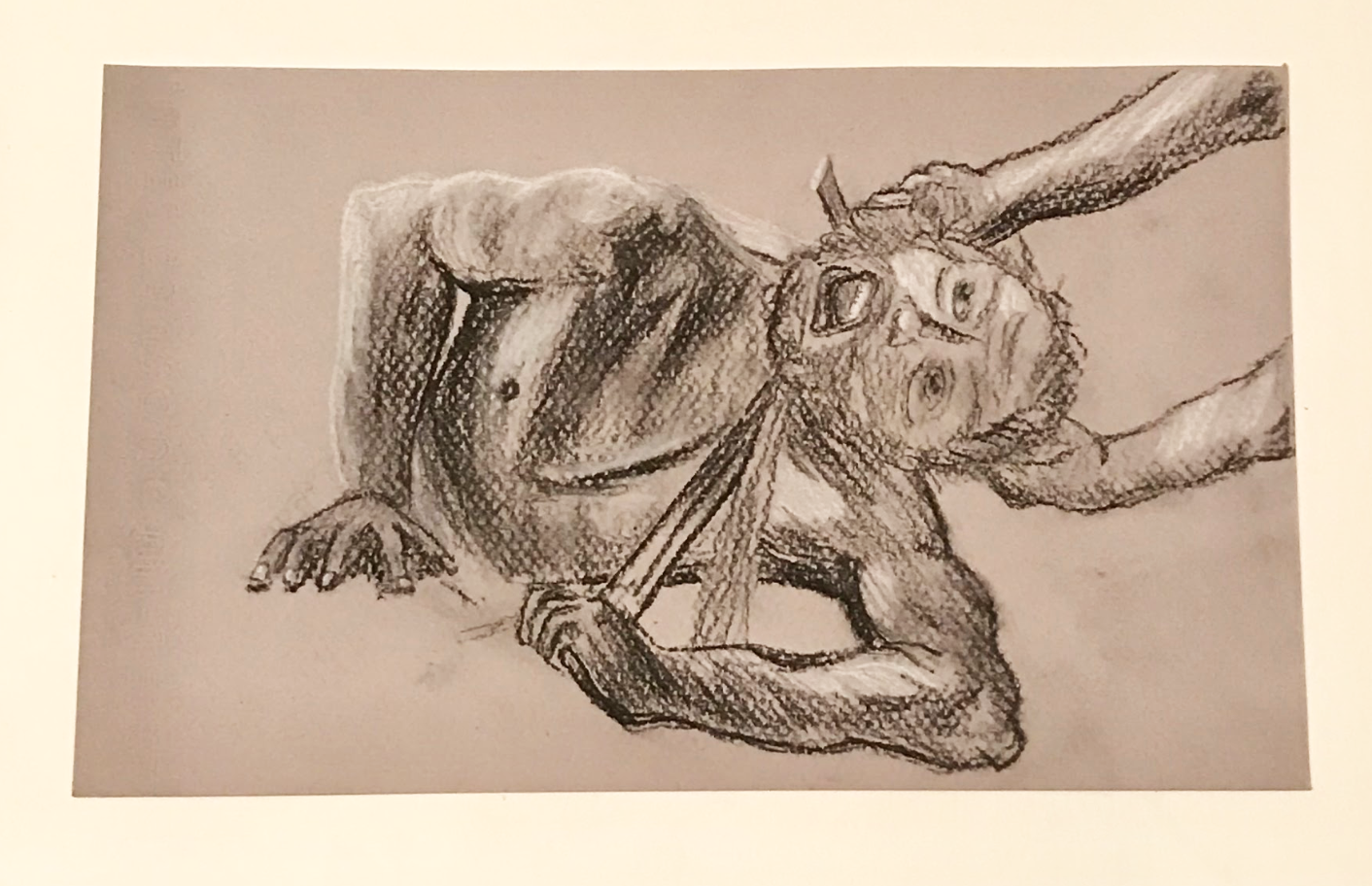 Screen Shot 2018-12-22 at 1.16.12 AM copy.png