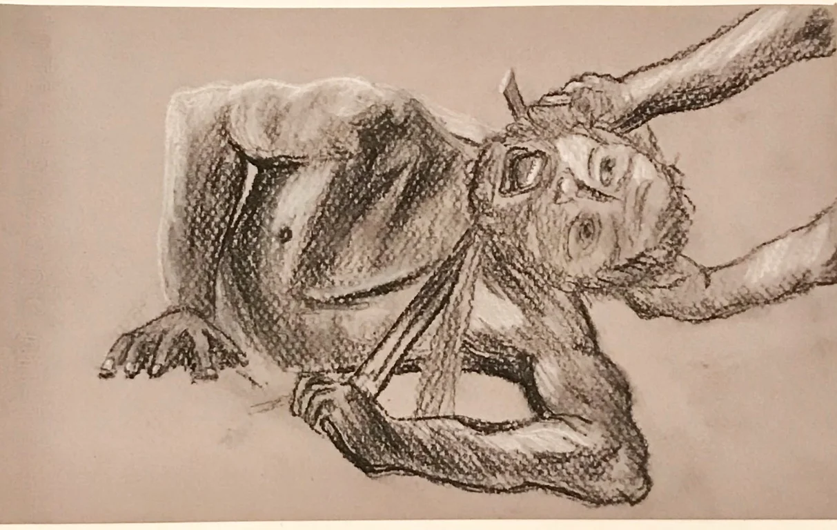 Screen Shot 2018-12-22 at 1.16.12 AM.png