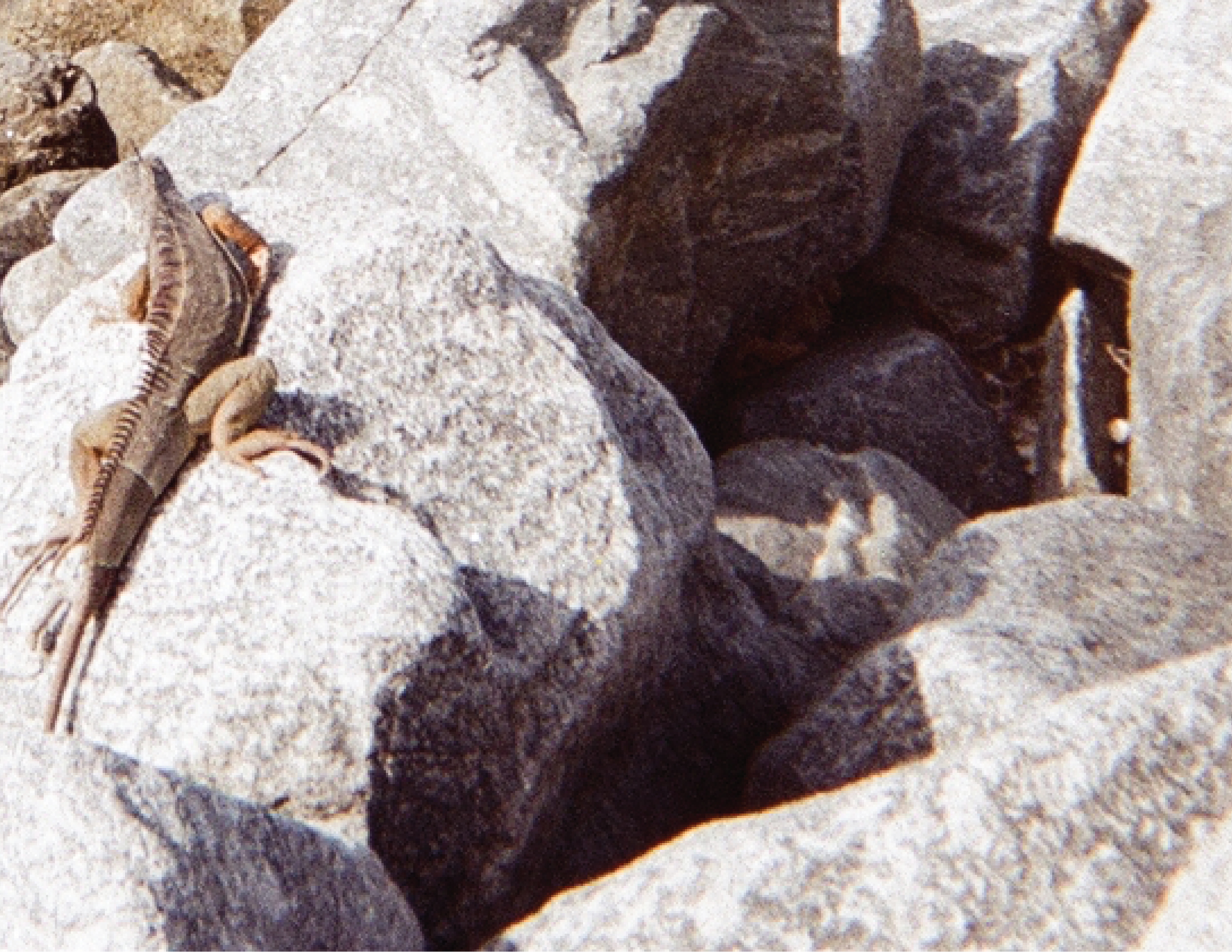 Europe Spread-04.png