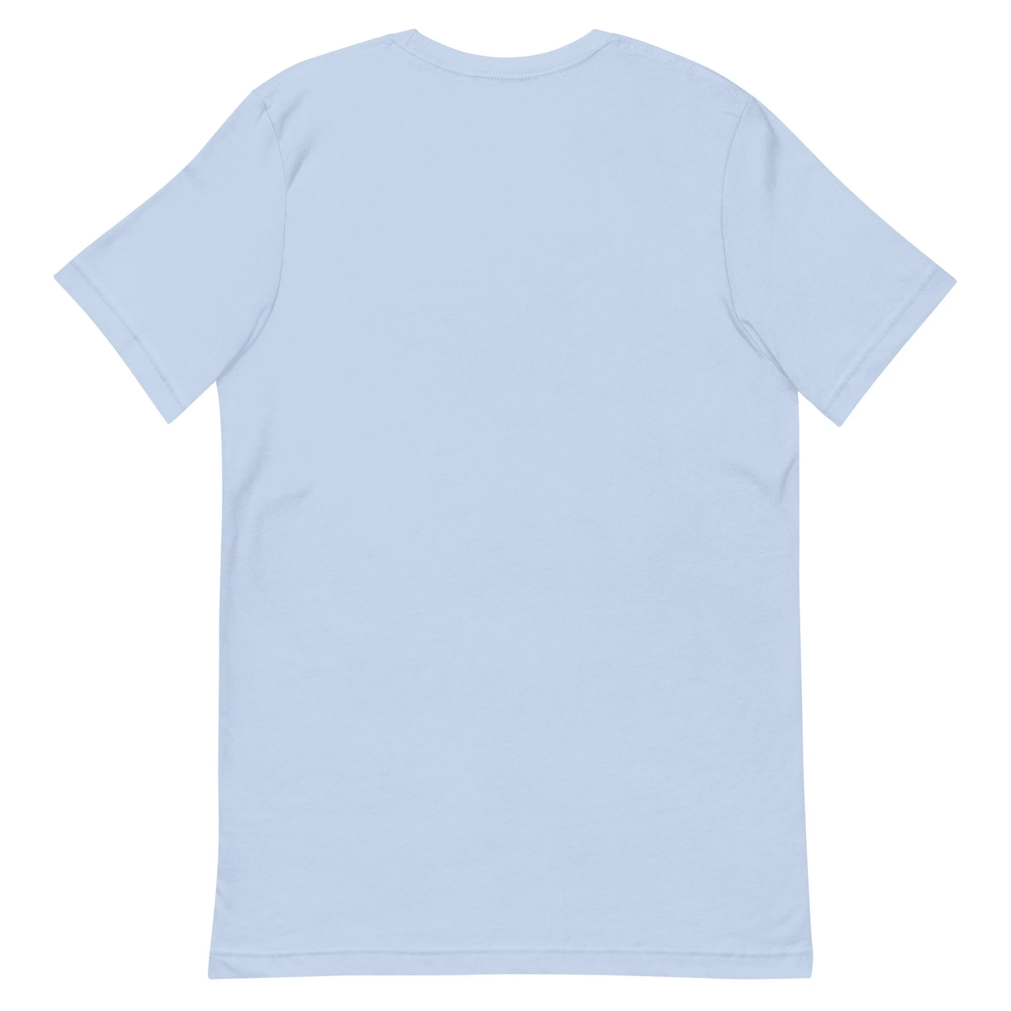unisex-staple-t-shirt-baby-blue-back-69cc0da3db8d0.jpg