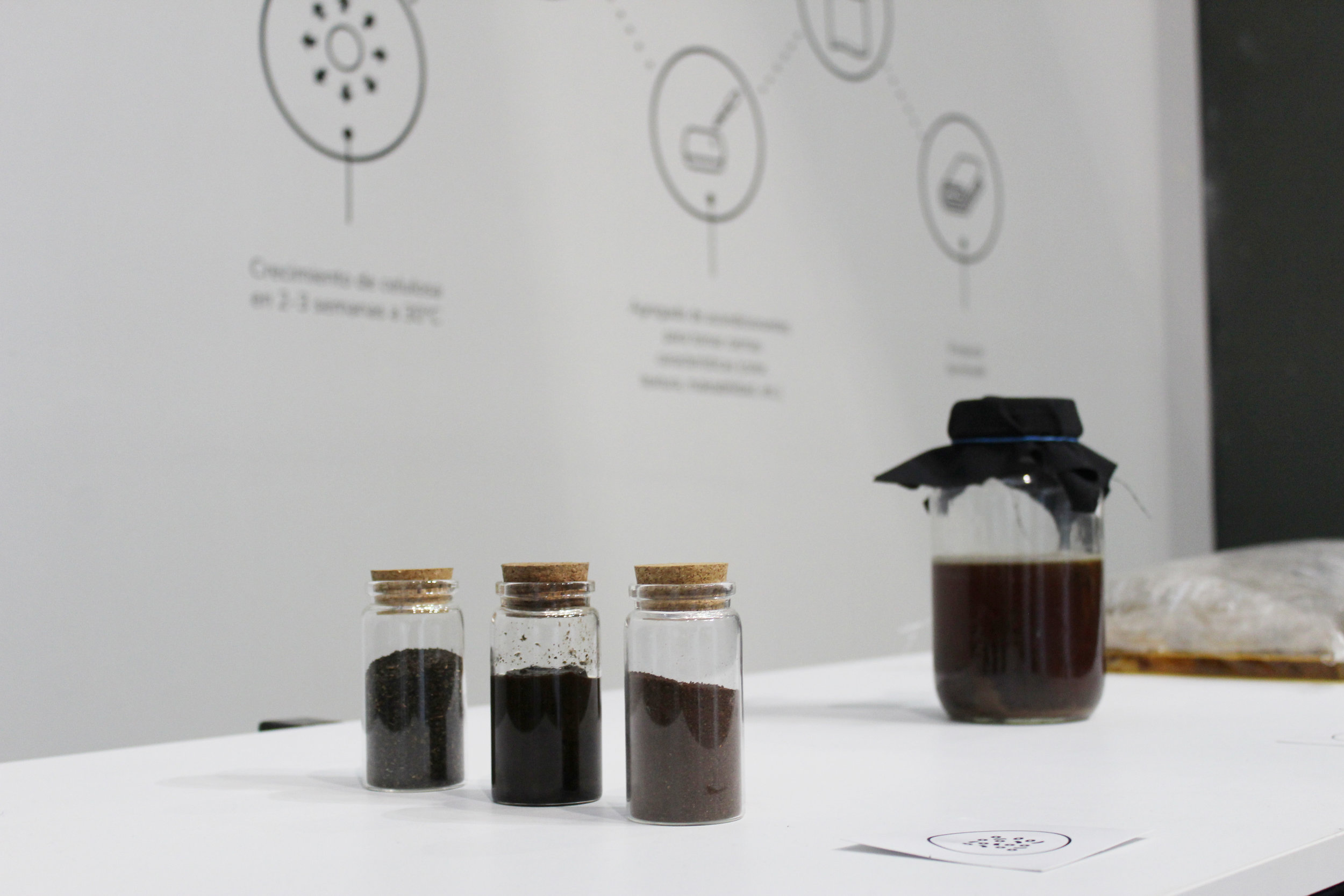 C.11 Celium Process Detail.jpg