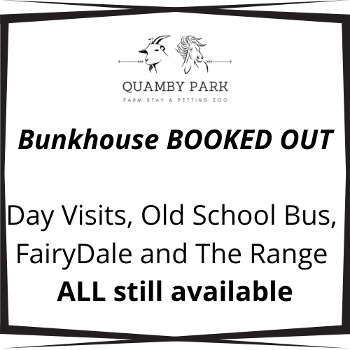 Bunkhouse