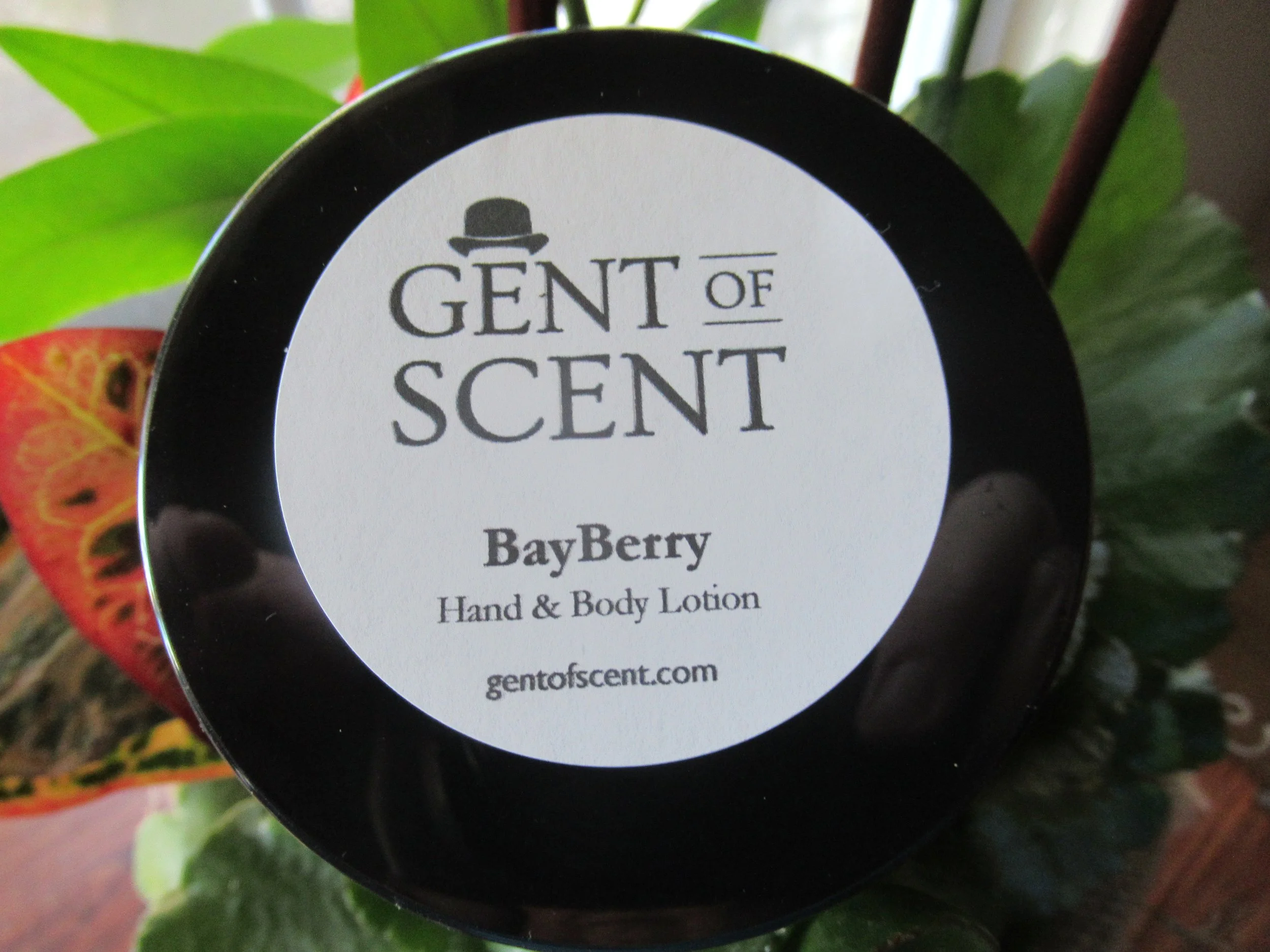 BAYBERRY ESSENTIAL OIL HAND AND BODY LOTION