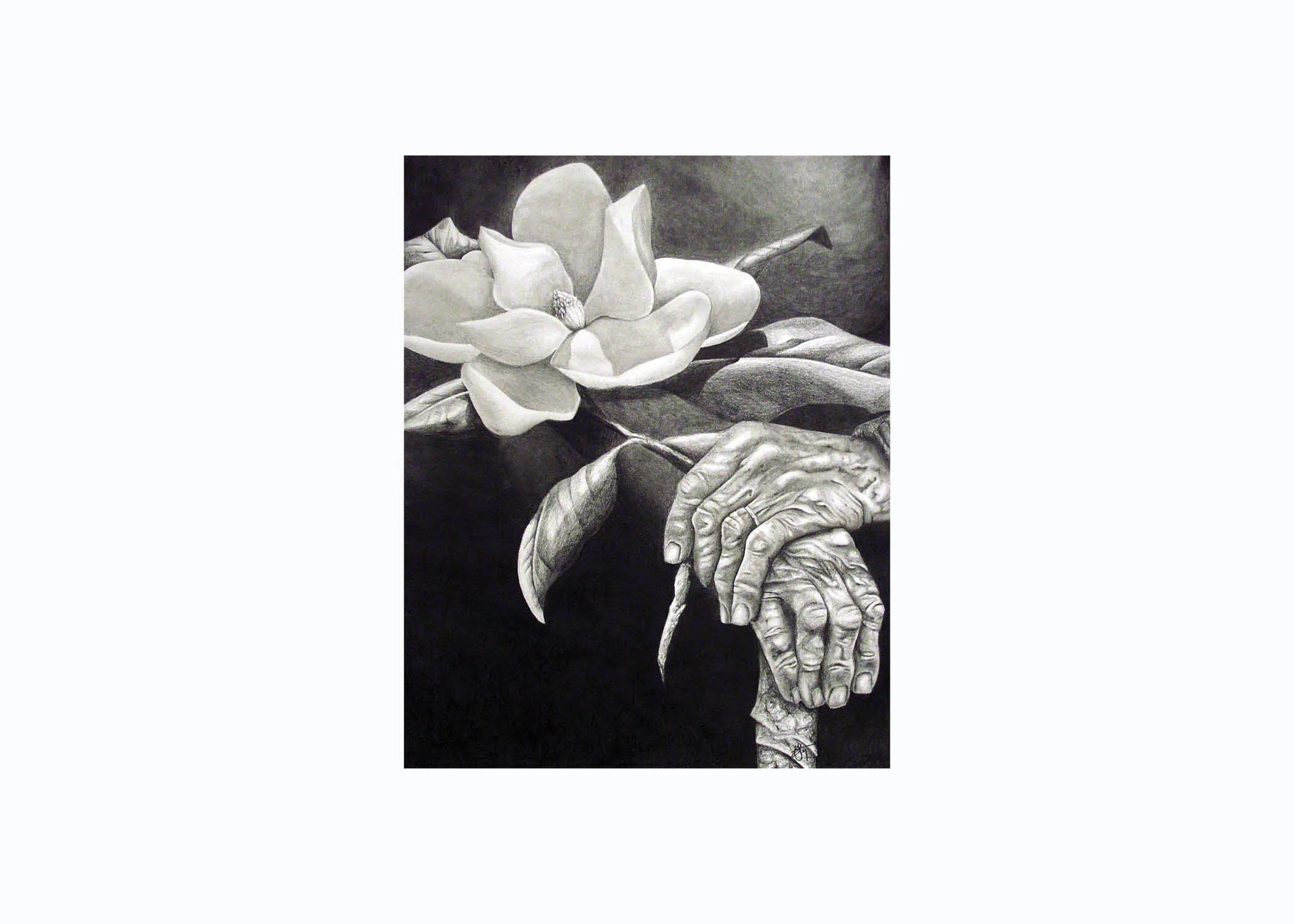 magnolia.jpg
