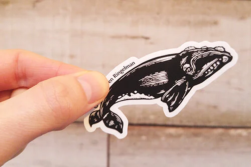 right-whale-sticker-lauren-ringelman.jpg