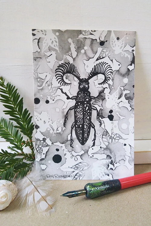 feather-horned-beetle-postcard-lauren-ringelman-web.jpg