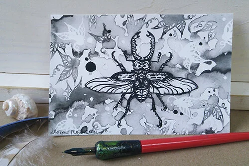 stag-beetle-postcard-lauren-ringelman-web.jpg