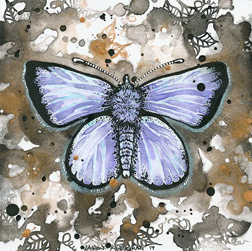 butterfly-drawing1-lauren-ringelman.jpg