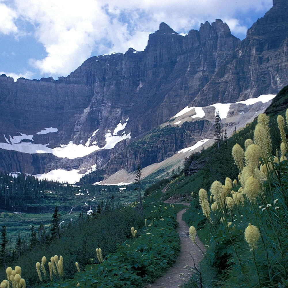 Avalanche Lake, Glacier National Park (National Park Service)