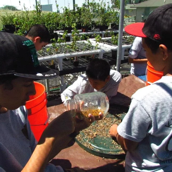 Native plant propagation (Natl Park Service)