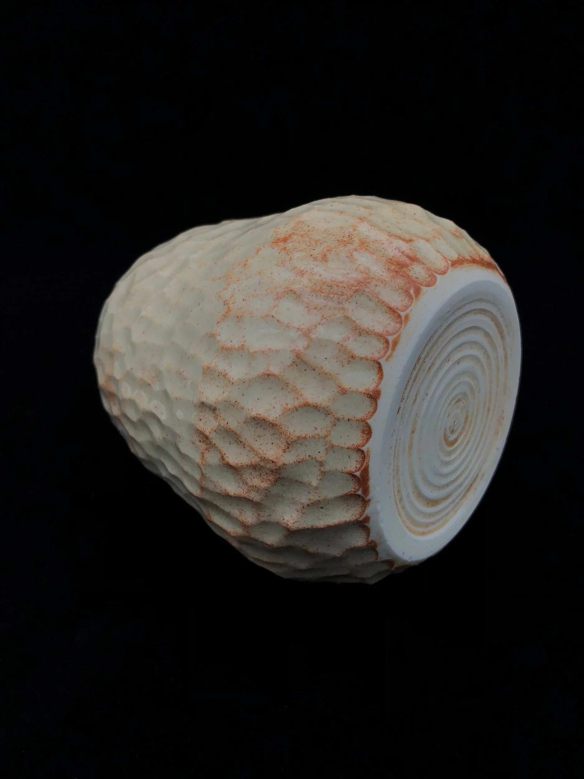 F117ECC4-9F02-41DC-AF2B-AC820F9A42F4