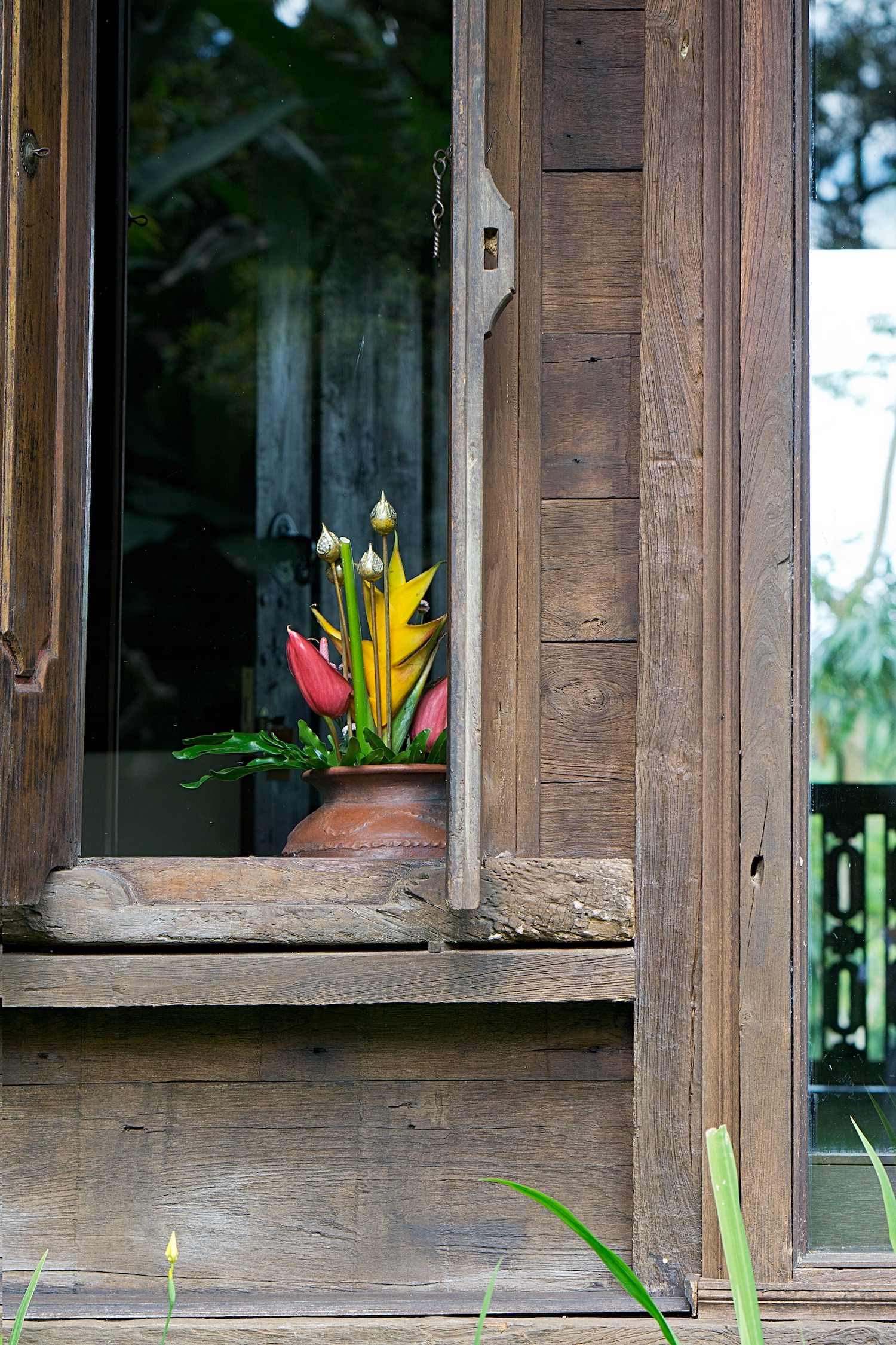 Fresh flowers, Menala cottage.