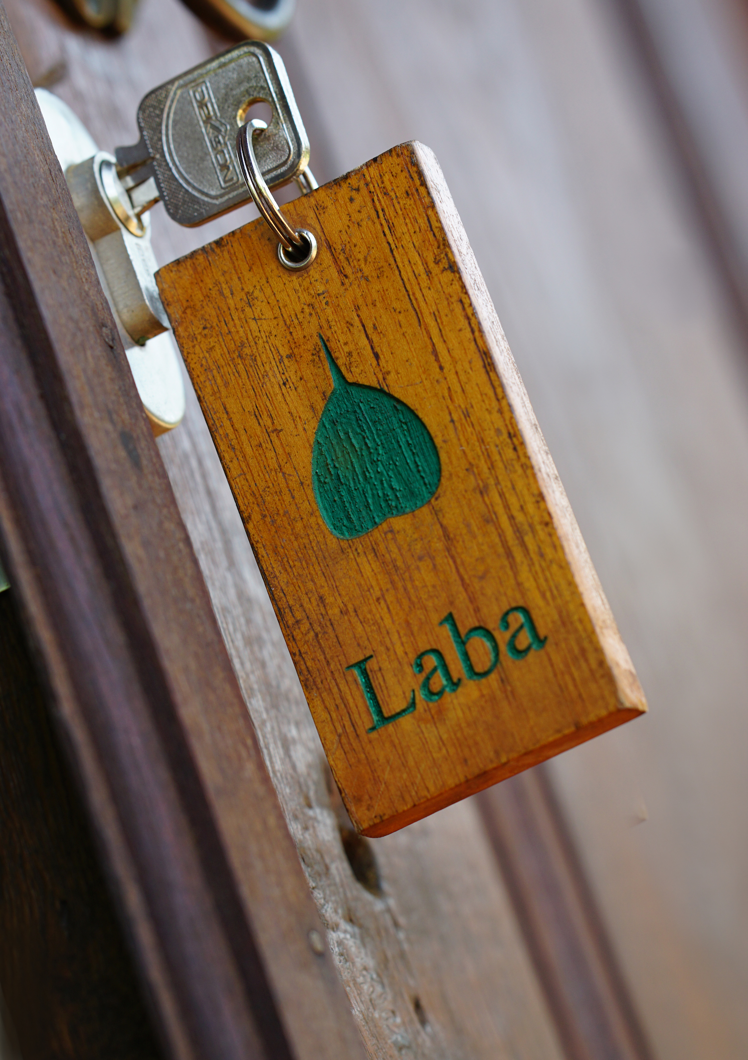 Welcome to Laba cottage.