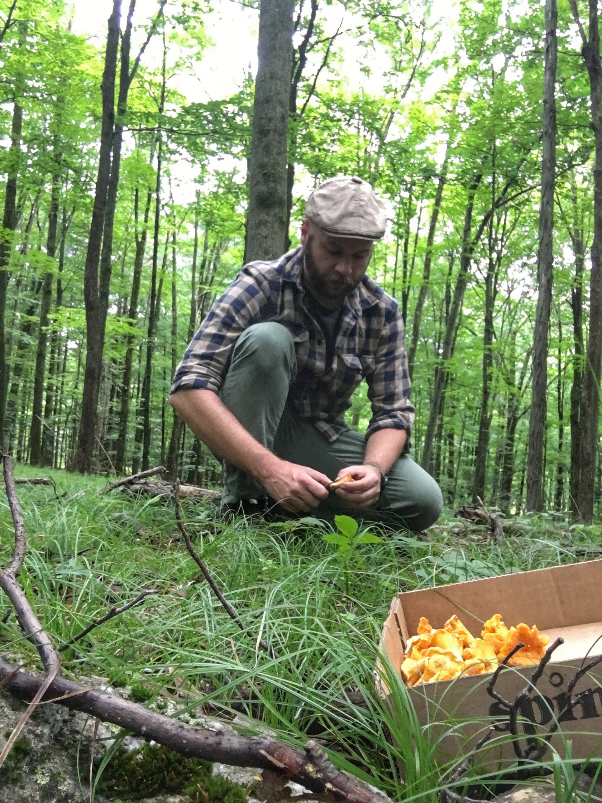 AustinForaging.jpg