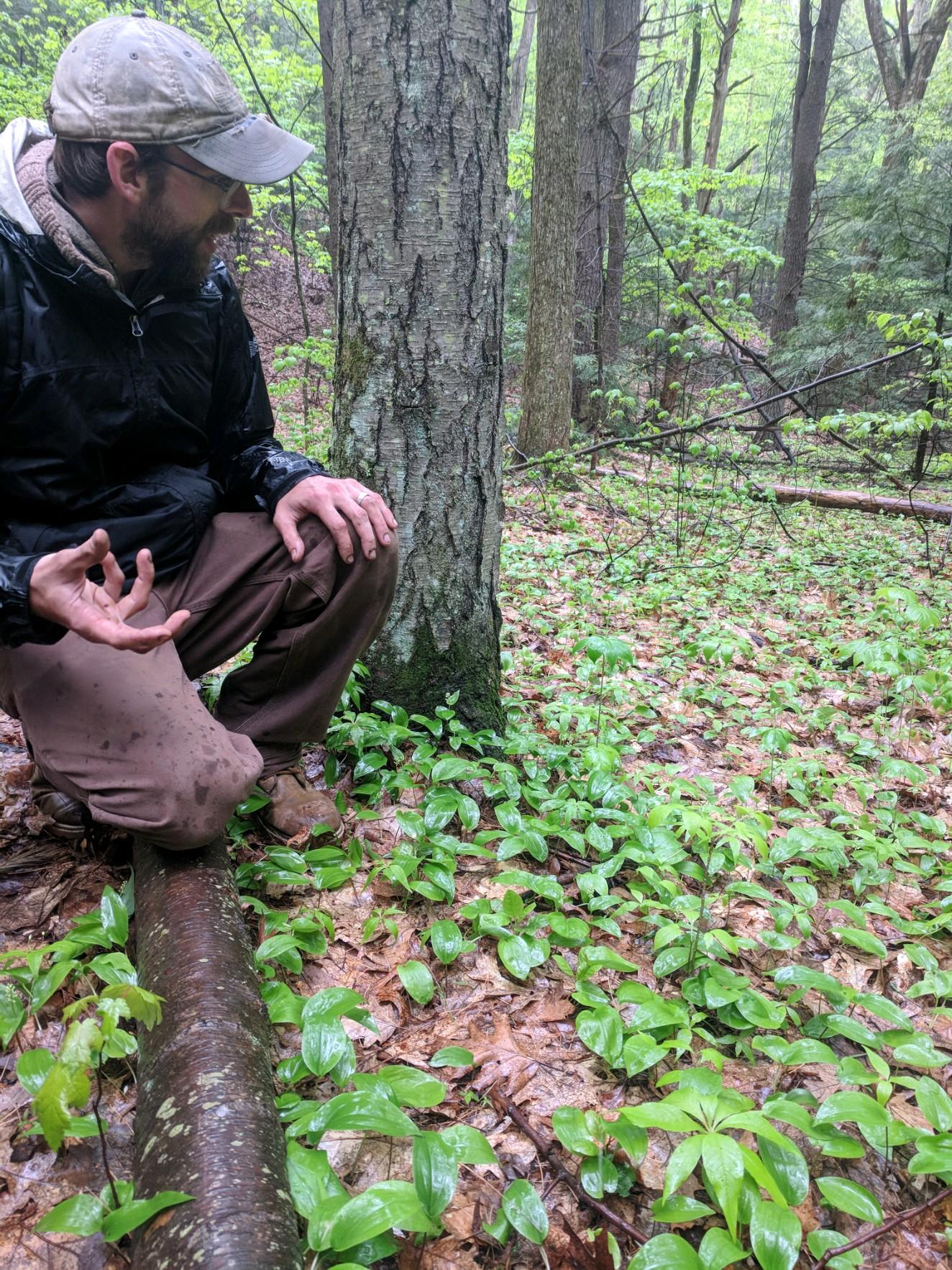 Wet Spring Plant Walk.jpeg