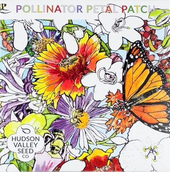 pollinator_petal_patch_mix_flower_seeds.jpg