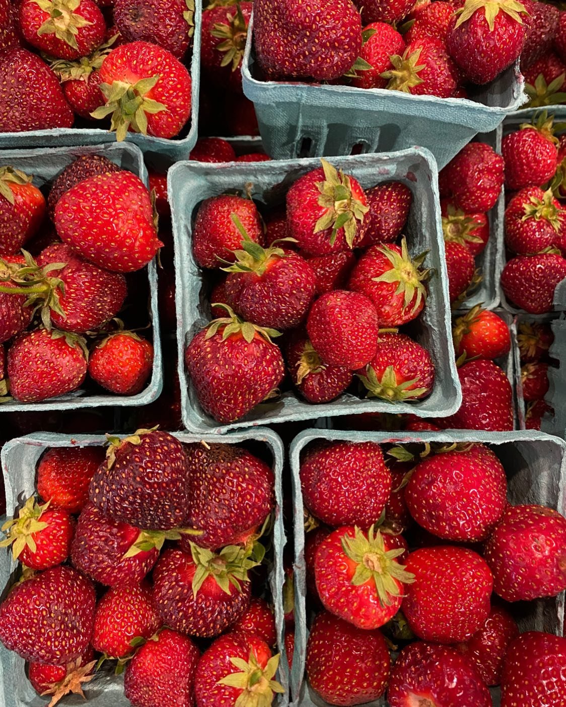 Local Strawberries are hereeeee 🍓🍓🍓 👀 from @rowbyrowfarm &hearts;️ Happy Wednesday! 
#locallove