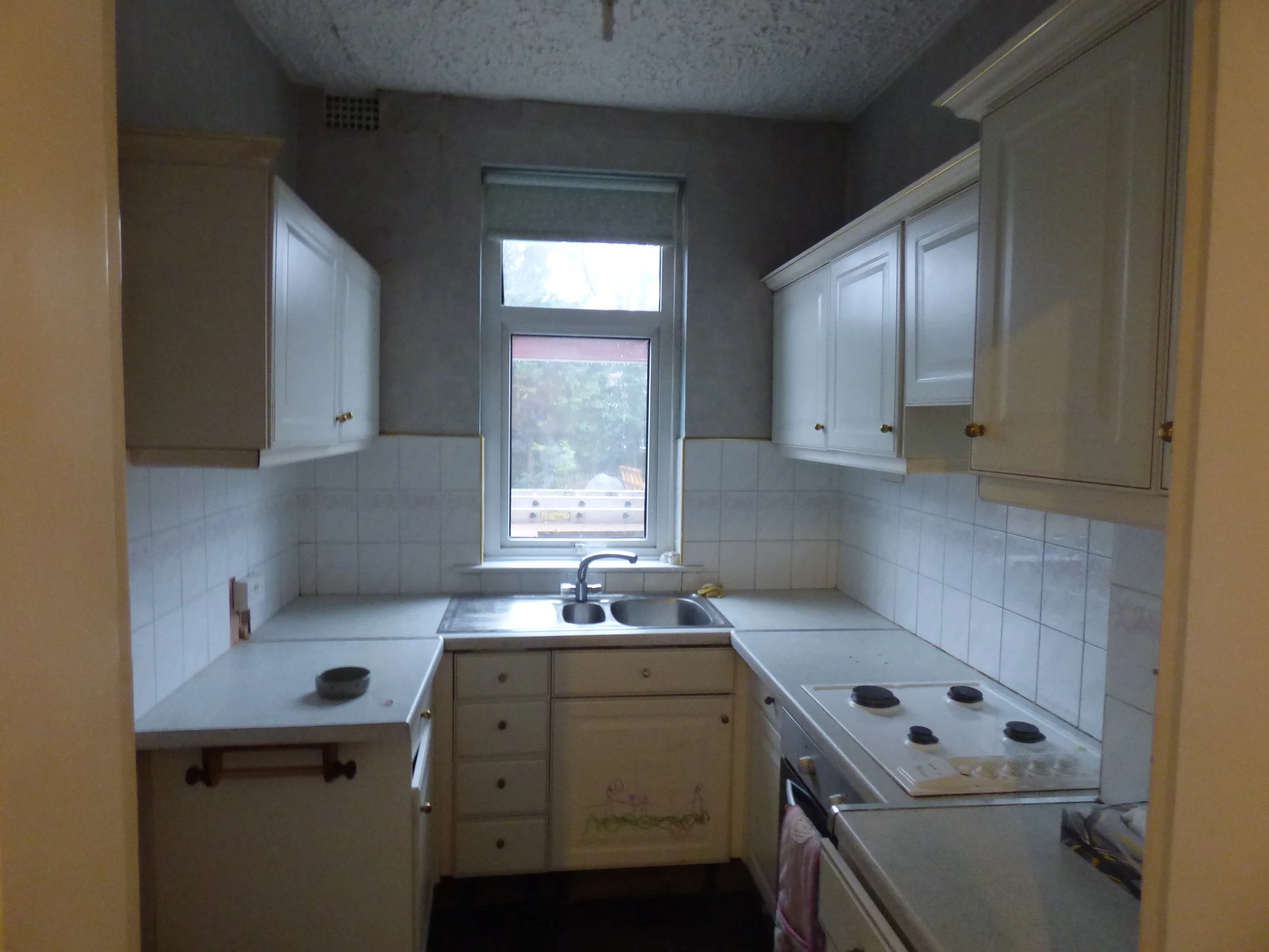 P1000052.JPG