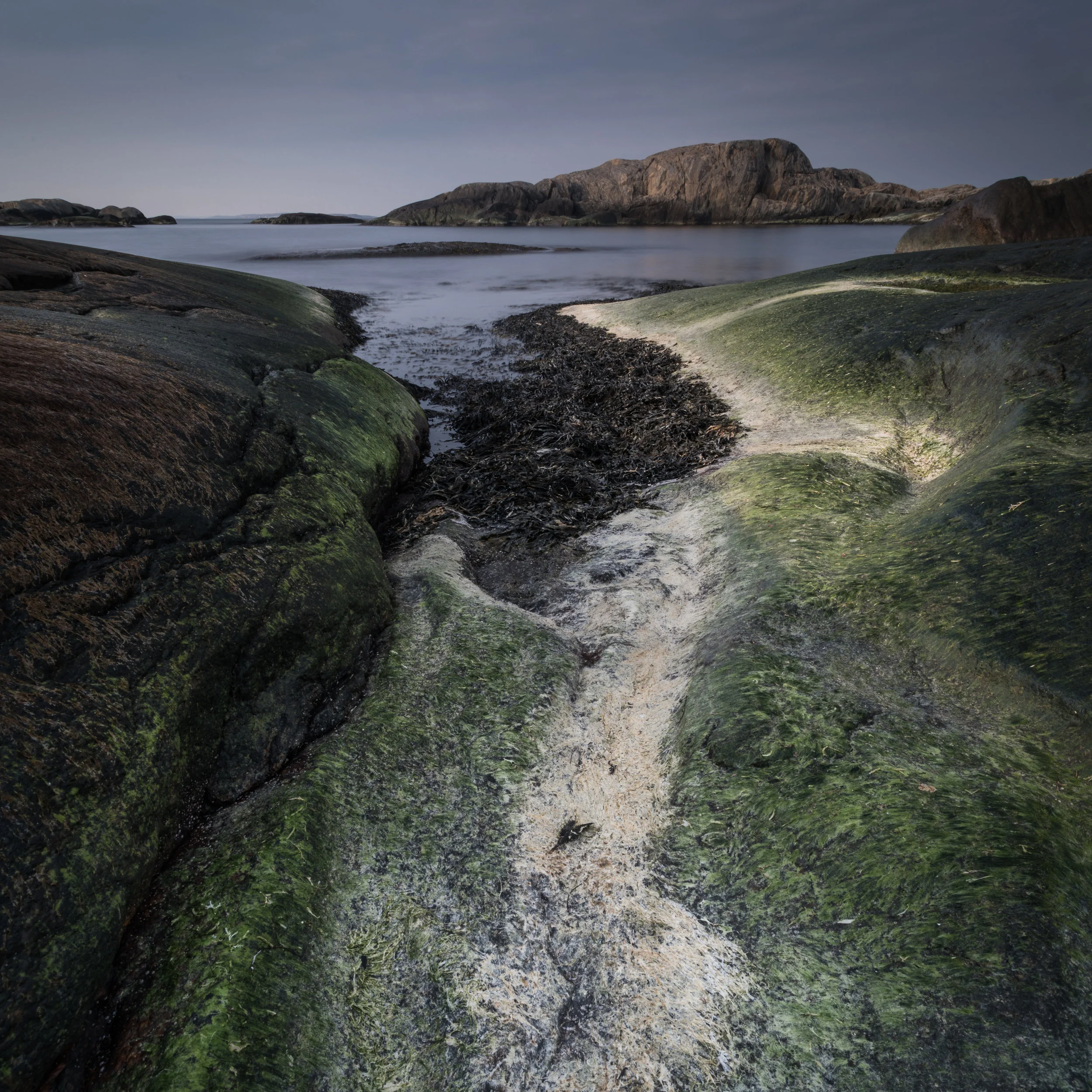 SashamoteFotograf-1-24.jpg